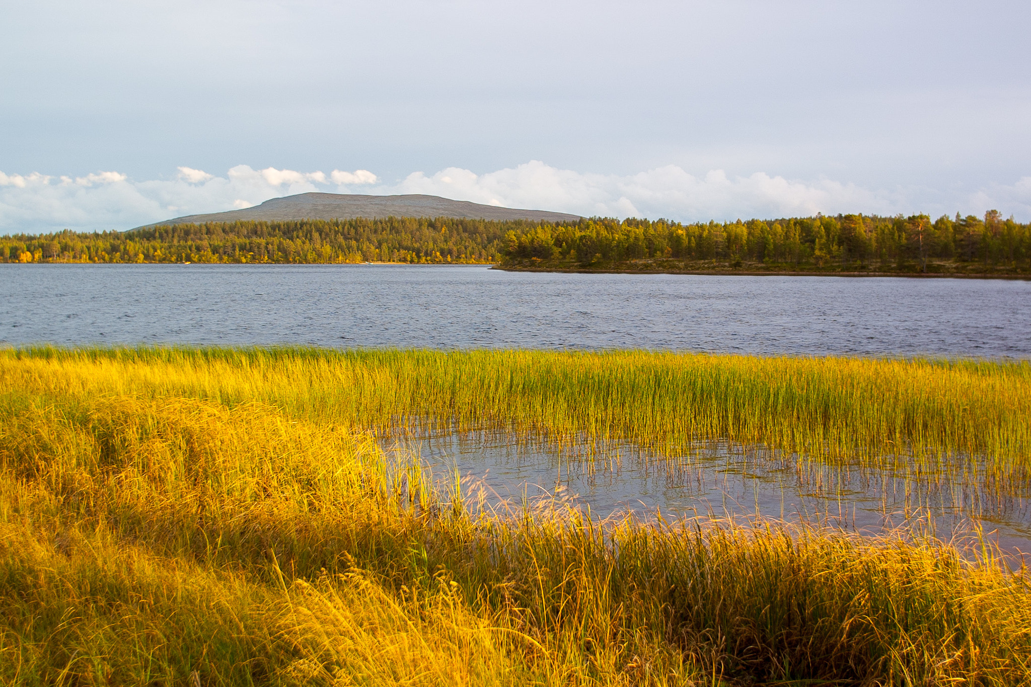 Canon EF 17-35mm f/2.8L sample photo. Autumn colors photography