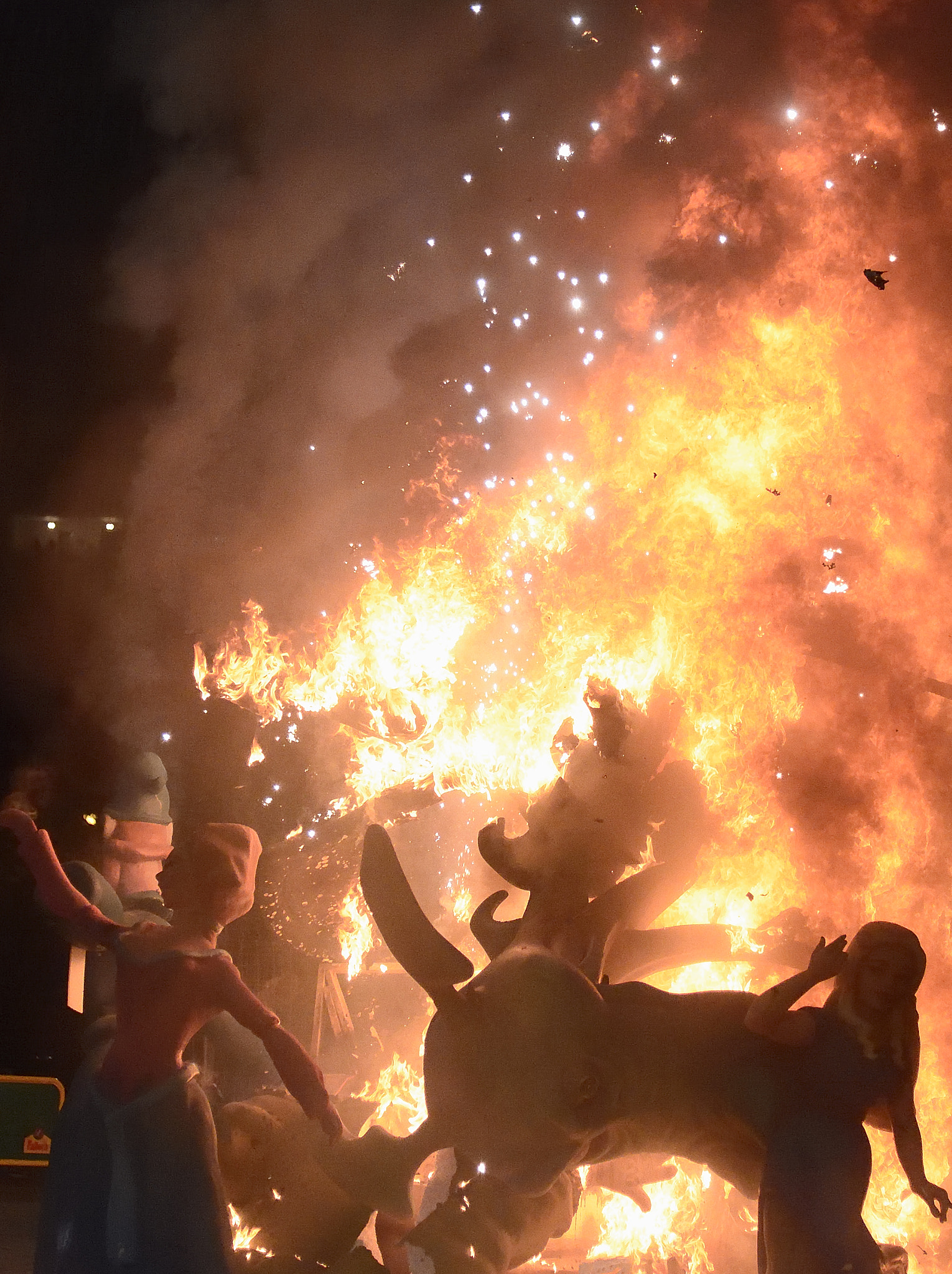 Nikon AF-S Nikkor 24-120mm F4G ED VR sample photo. Fallas 2017 photography
