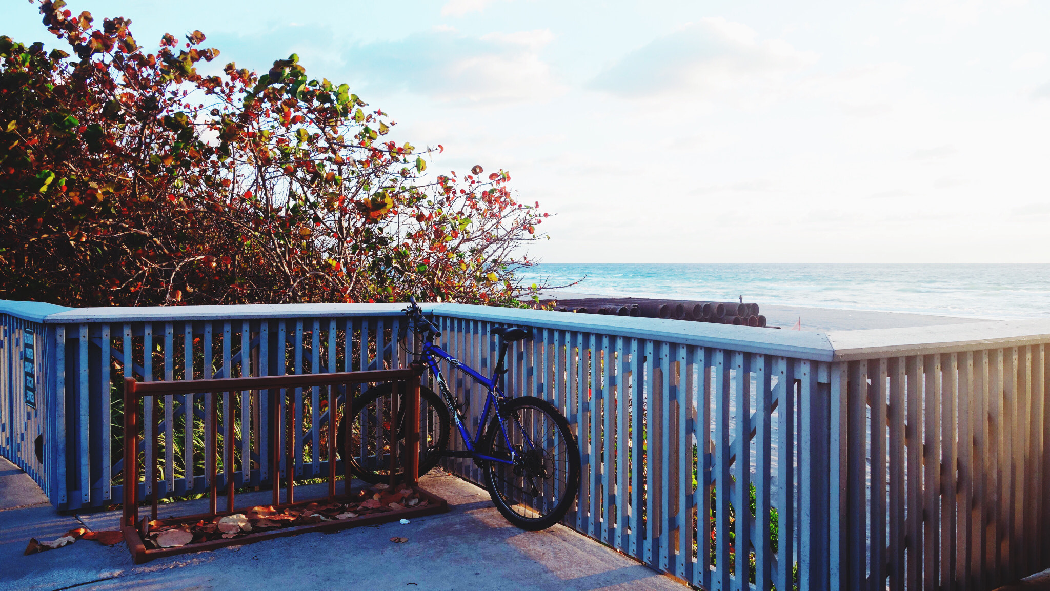 Sony Cyber-shot DSC-RX100 II + Sony 28-100mm F1.8-4.9 sample photo. Bicycle rack with a view photography