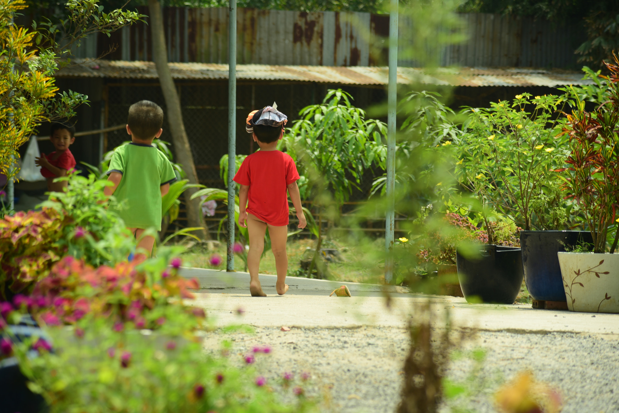 Manual Lens No CPU sample photo. Brother photography