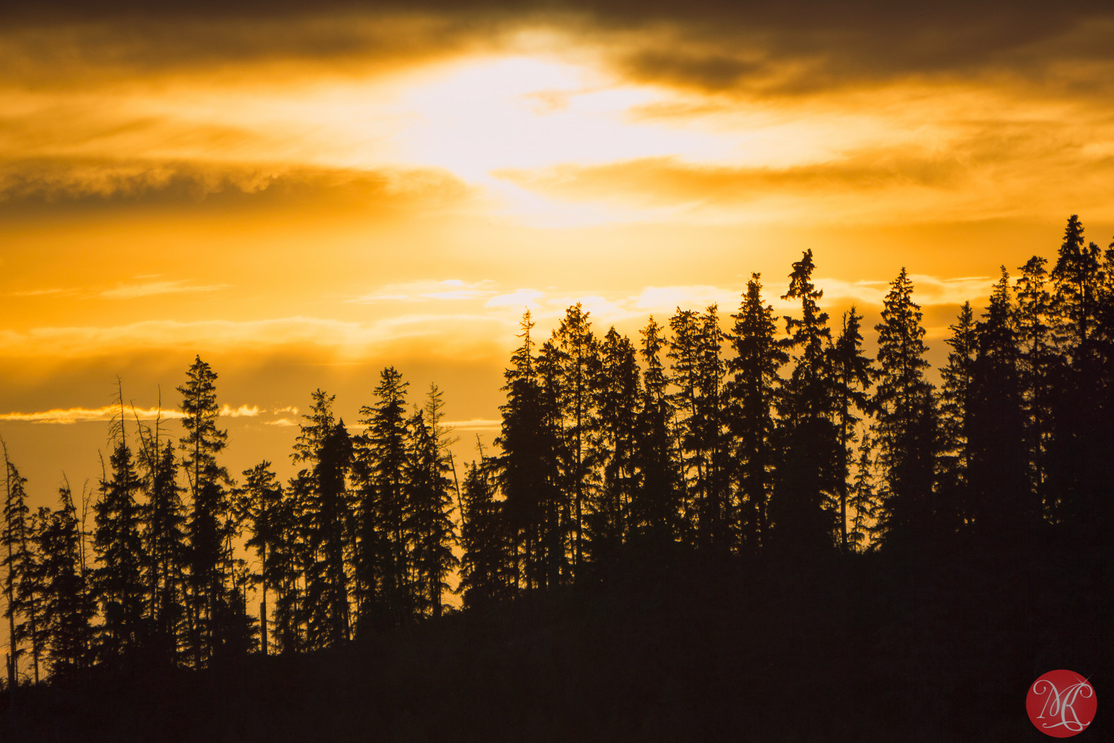 Sony Alpha NEX-7 sample photo. Forest on the edge photography