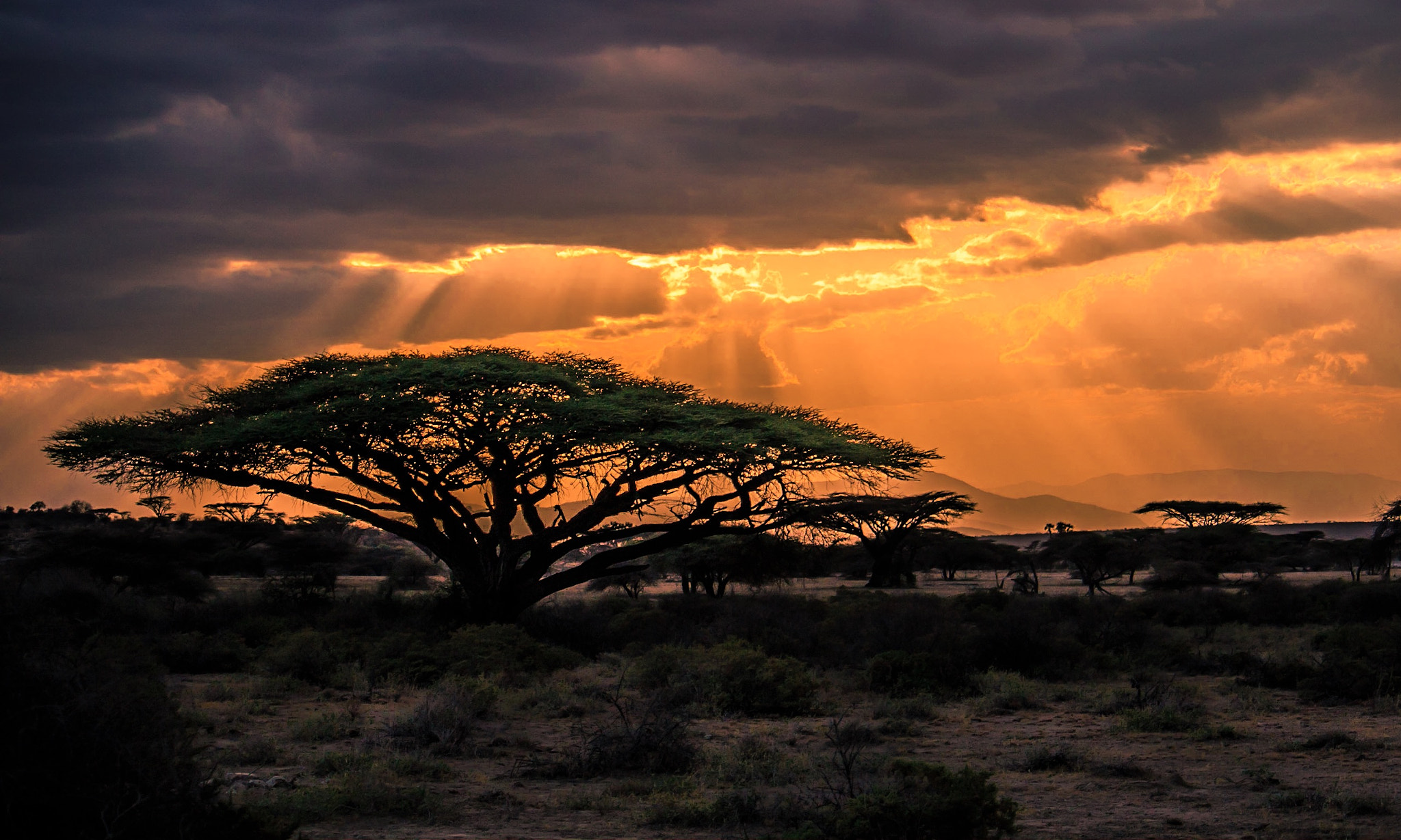 Canon EF-S 55-250mm F4-5.6 IS sample photo. Sunset of africa  photography