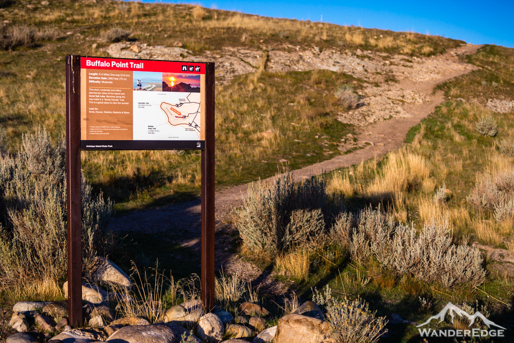 Nikon AF-S Nikkor 24-70mm F2.8G ED sample photo. Antelope island state park utah photography