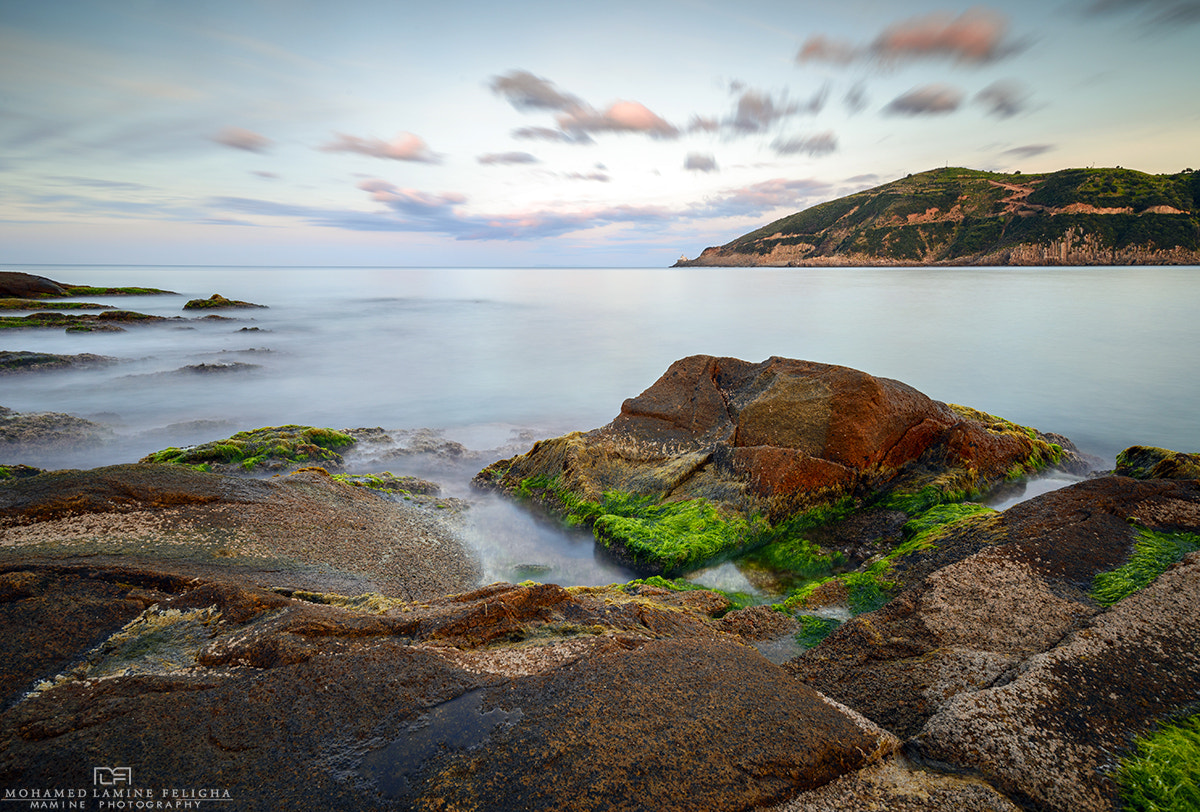 Nikon AF-S Nikkor 18-35mm F3.5-4.5G ED sample photo. Colloالقل photography