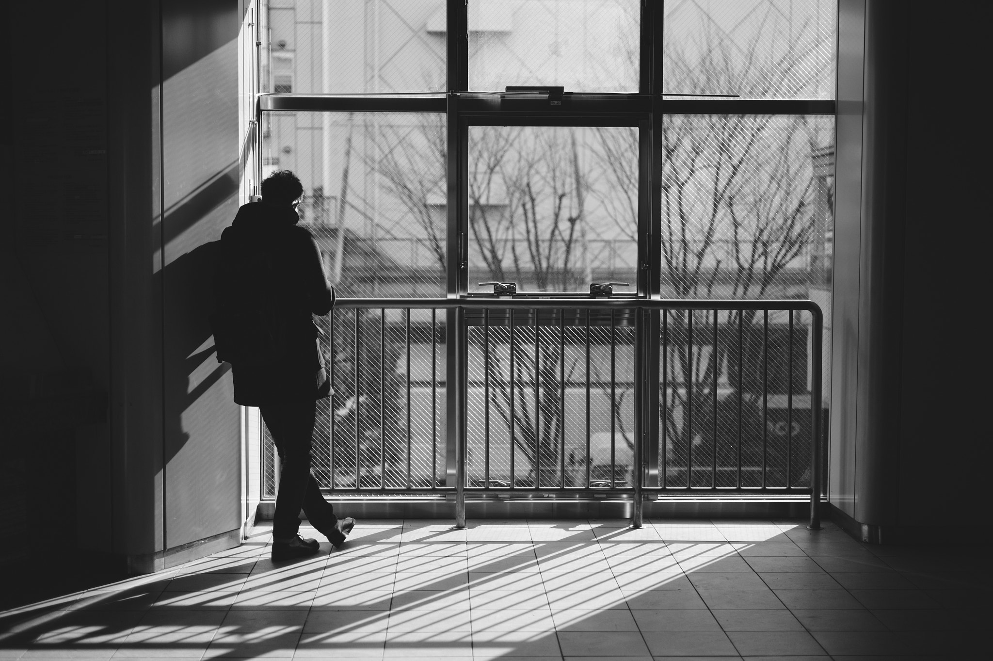 Leica M9 + Summicron-M 50mm f/2 (IV, V) sample photo. Morning shine photography