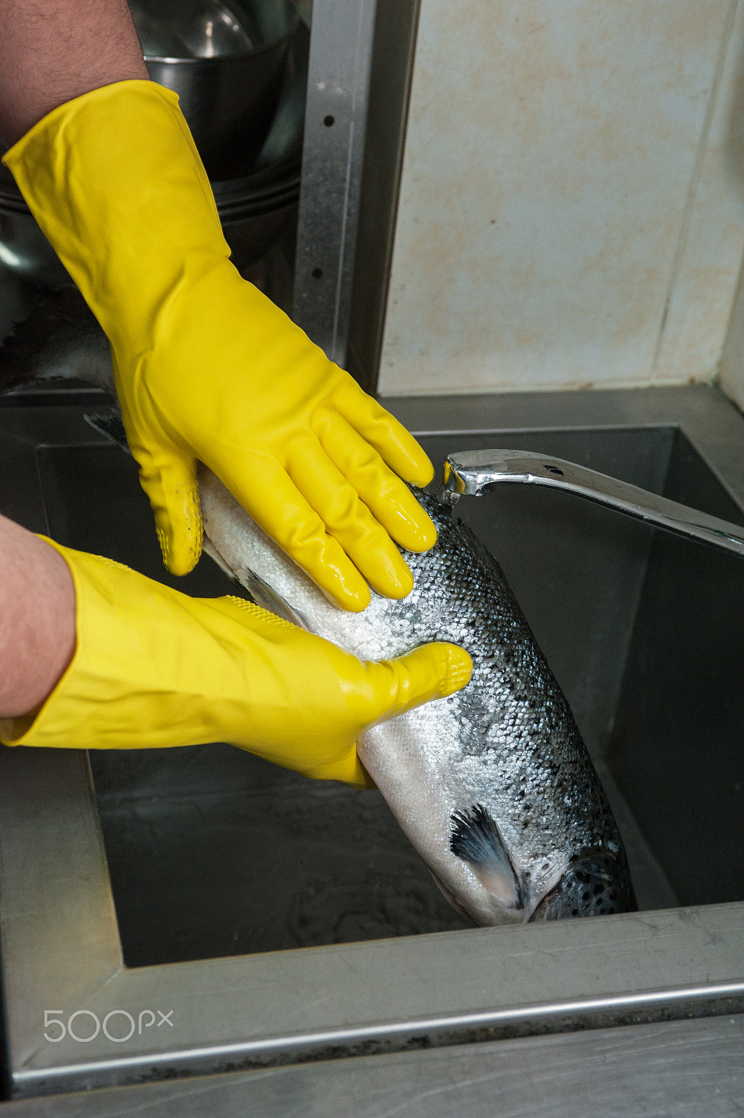 Nikon D700 sample photo. Cleaning salmon fish photography