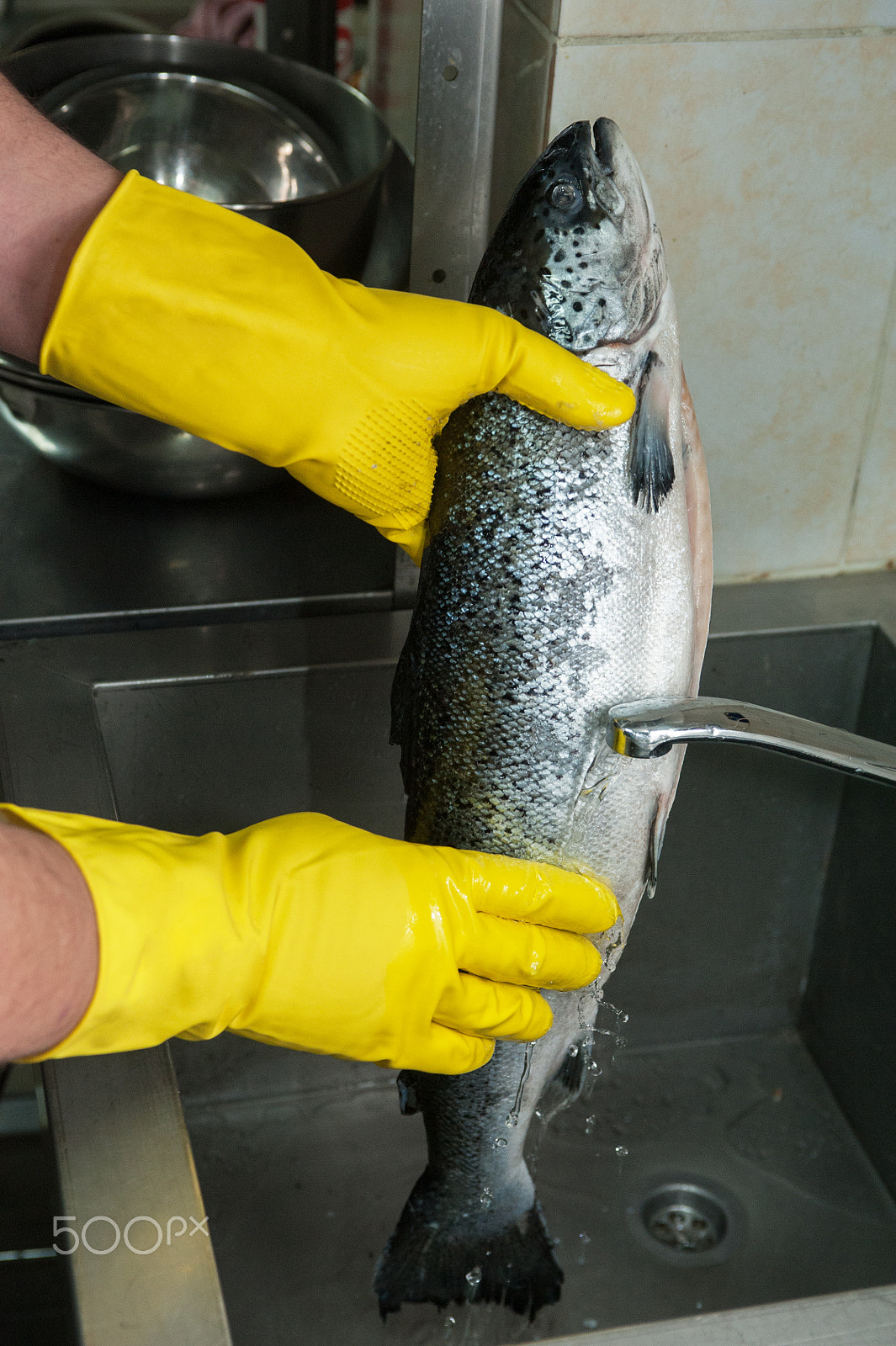 Nikon D700 sample photo. Cleaning salmon fish photography