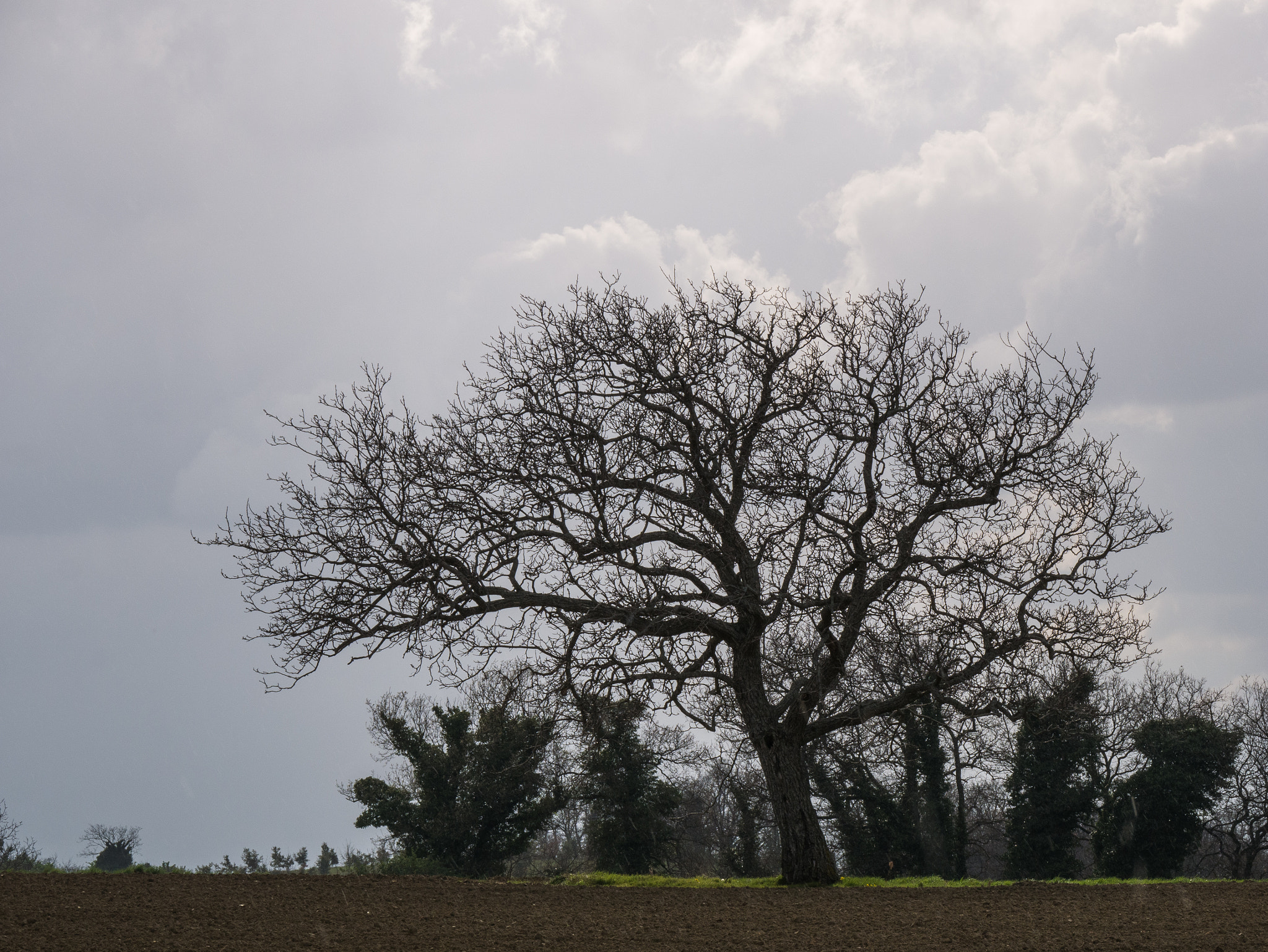 Panasonic Lumix DMC-G85 (Lumix DMC-G80) + LEICA DG 100-400/F4.0-6.3 sample photo. Entre deux averses.. photography