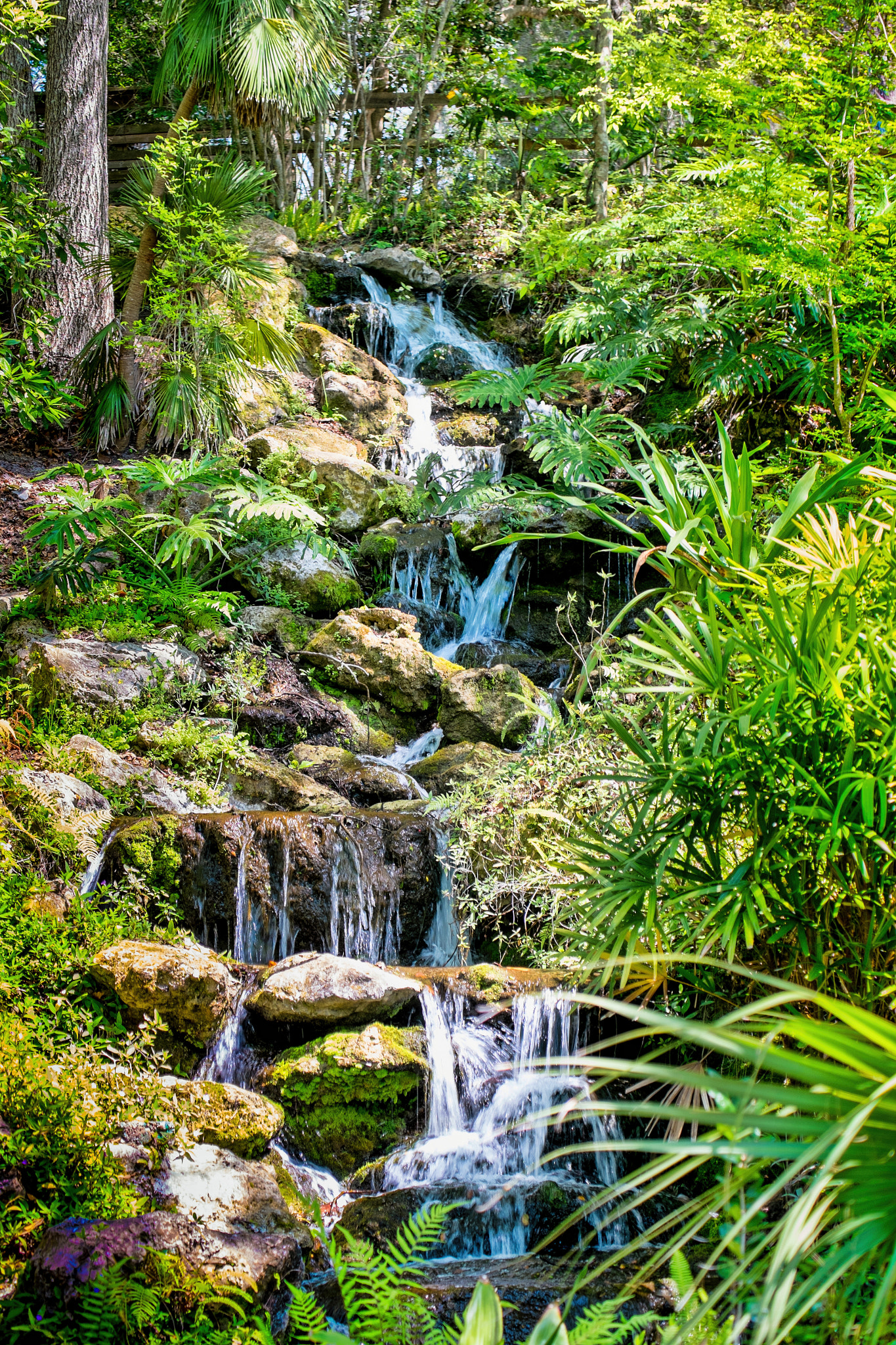 Fujifilm X-E1 sample photo. Rainbow springs waterfall photography