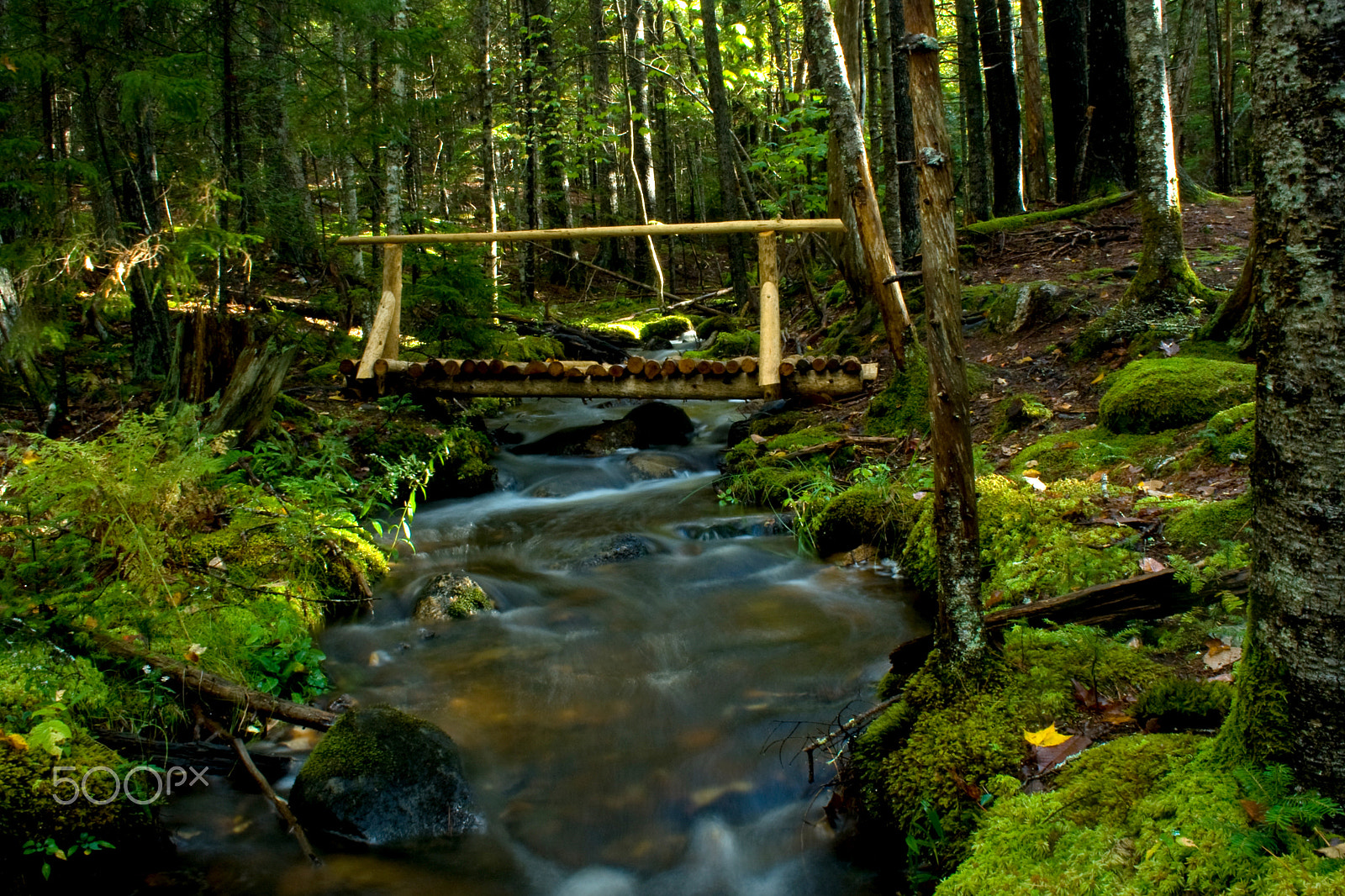 Canon EOS 400D (EOS Digital Rebel XTi / EOS Kiss Digital X) sample photo. Rustic wooden bridge over stream in woods photography