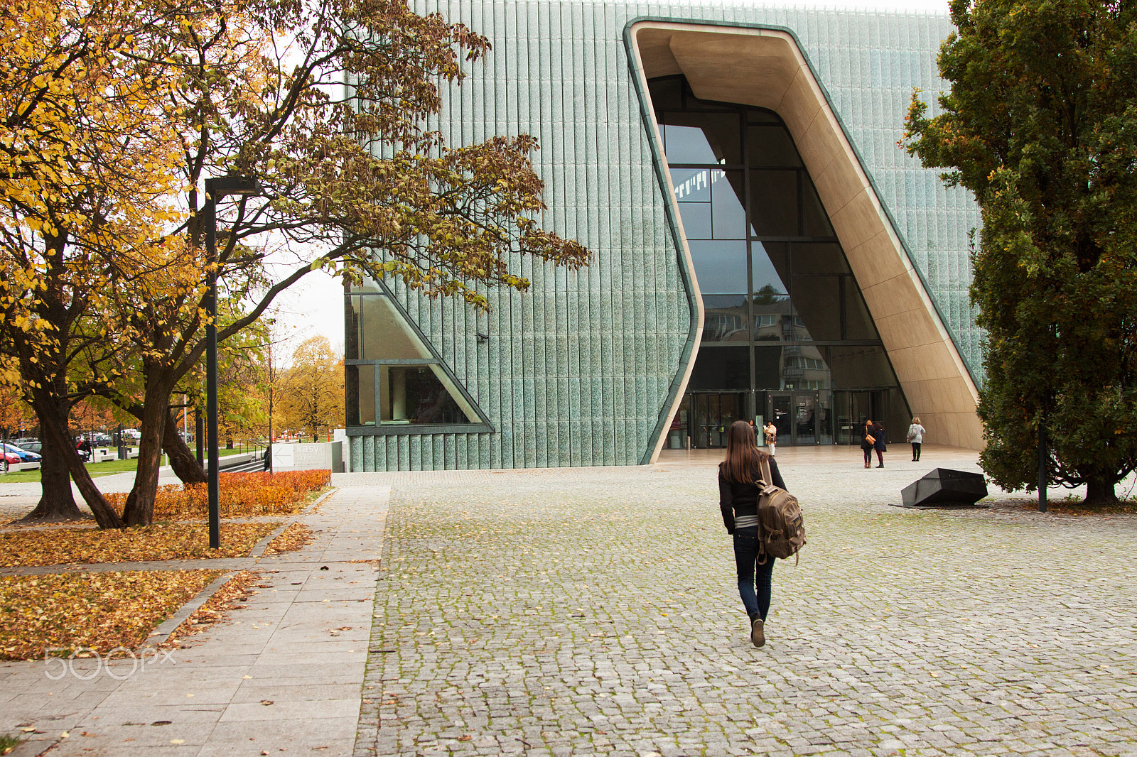 Canon EOS 50D + Canon EF 24-105mm F4L IS USM sample photo. Polin museum of the history of polish jews photography