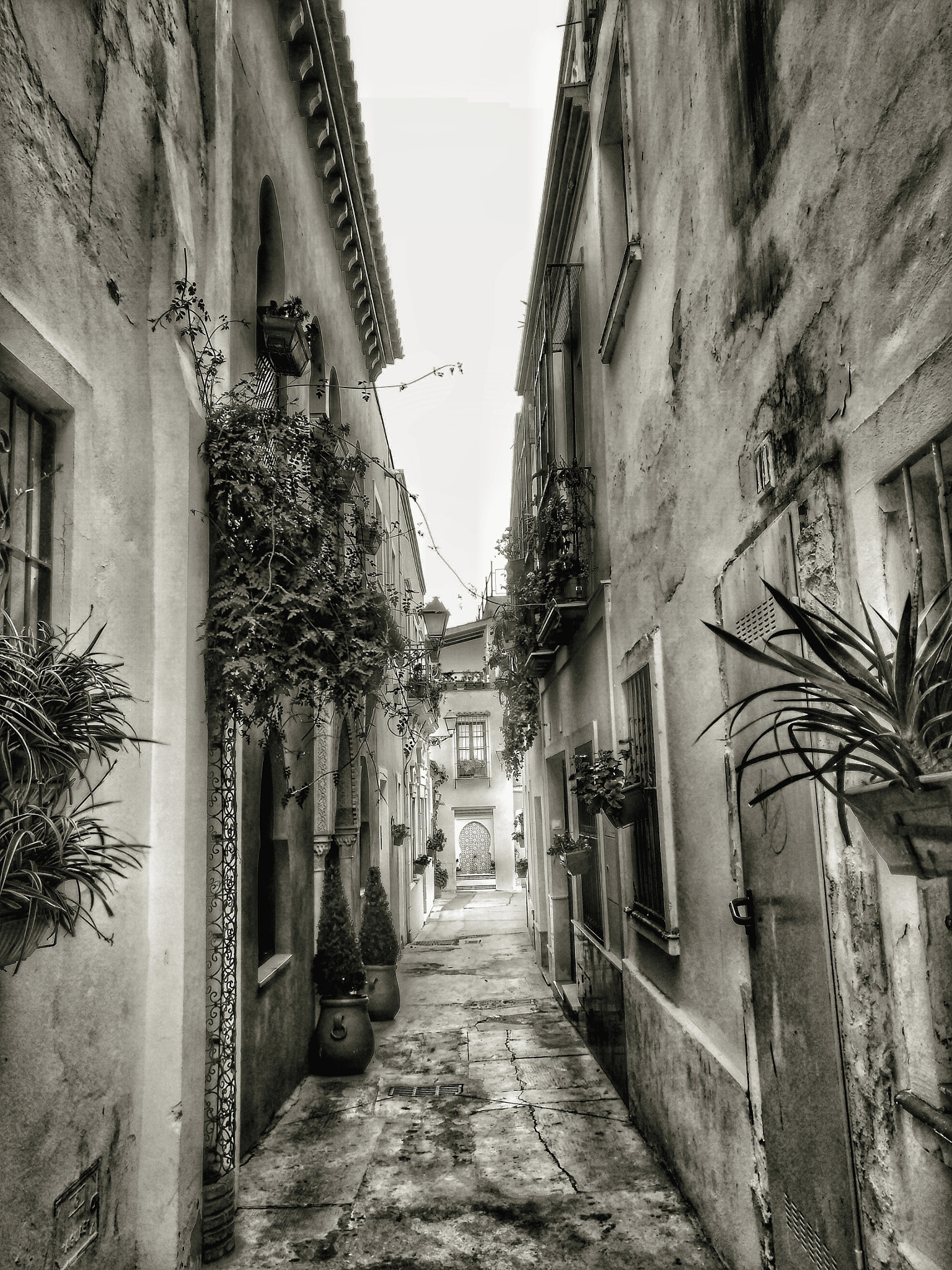 nubia Z11 MINI sample photo. Calle manuel cancho. badajoz photography