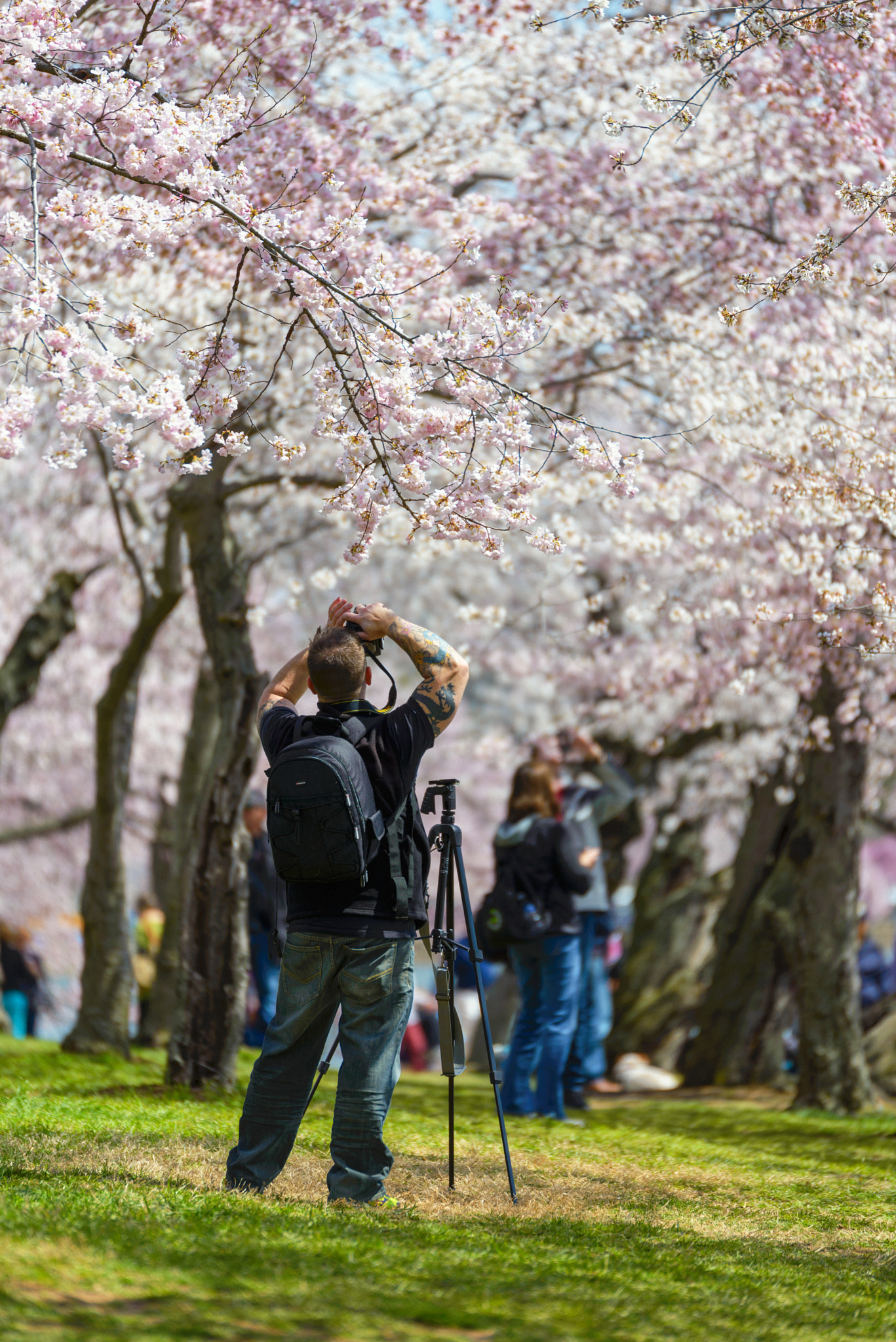 Nikon AF-S Nikkor 70-200mm F2.8G ED VR II sample photo. Photographer photography
