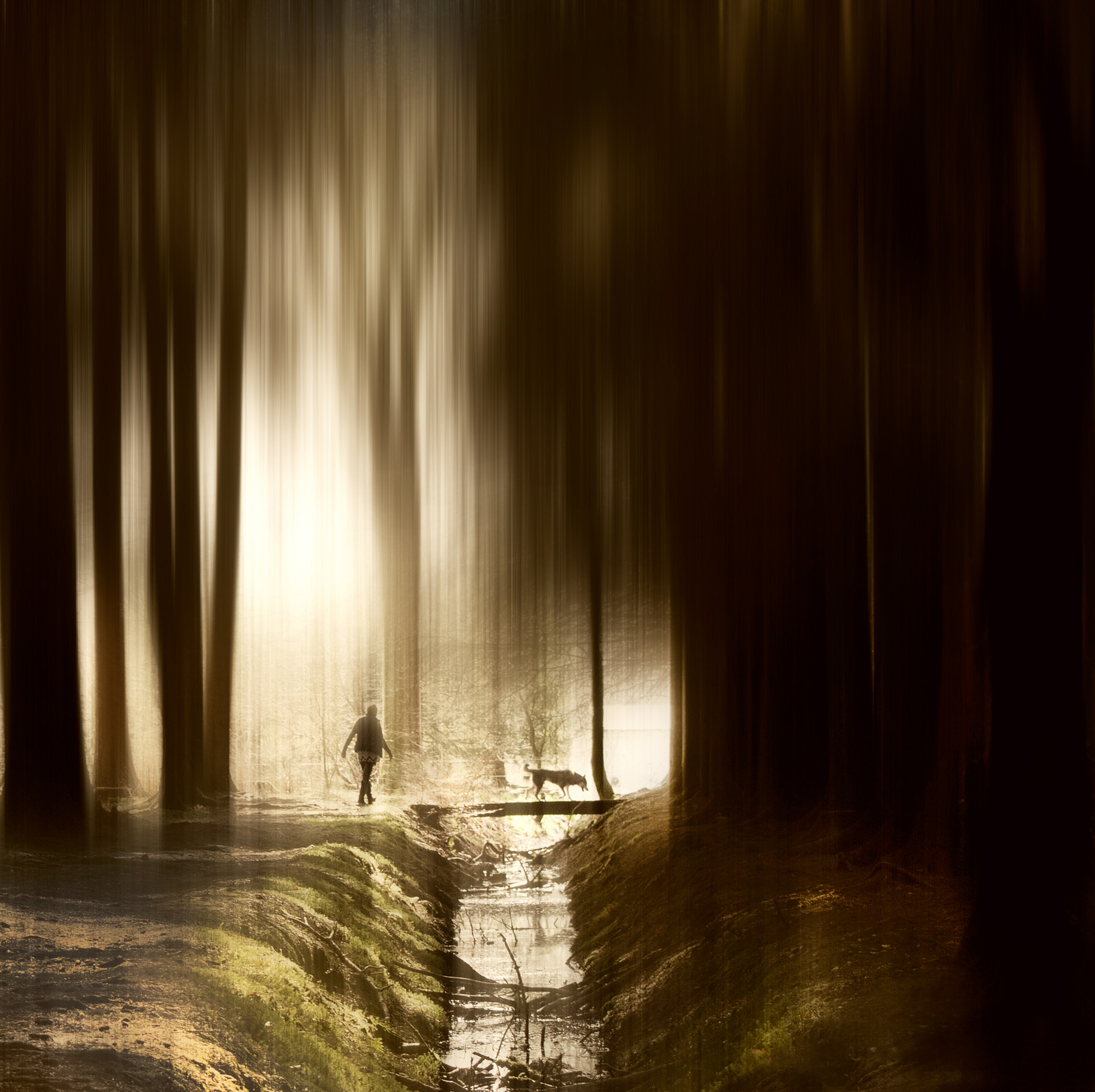 Nikon D300 sample photo. Into the light photography