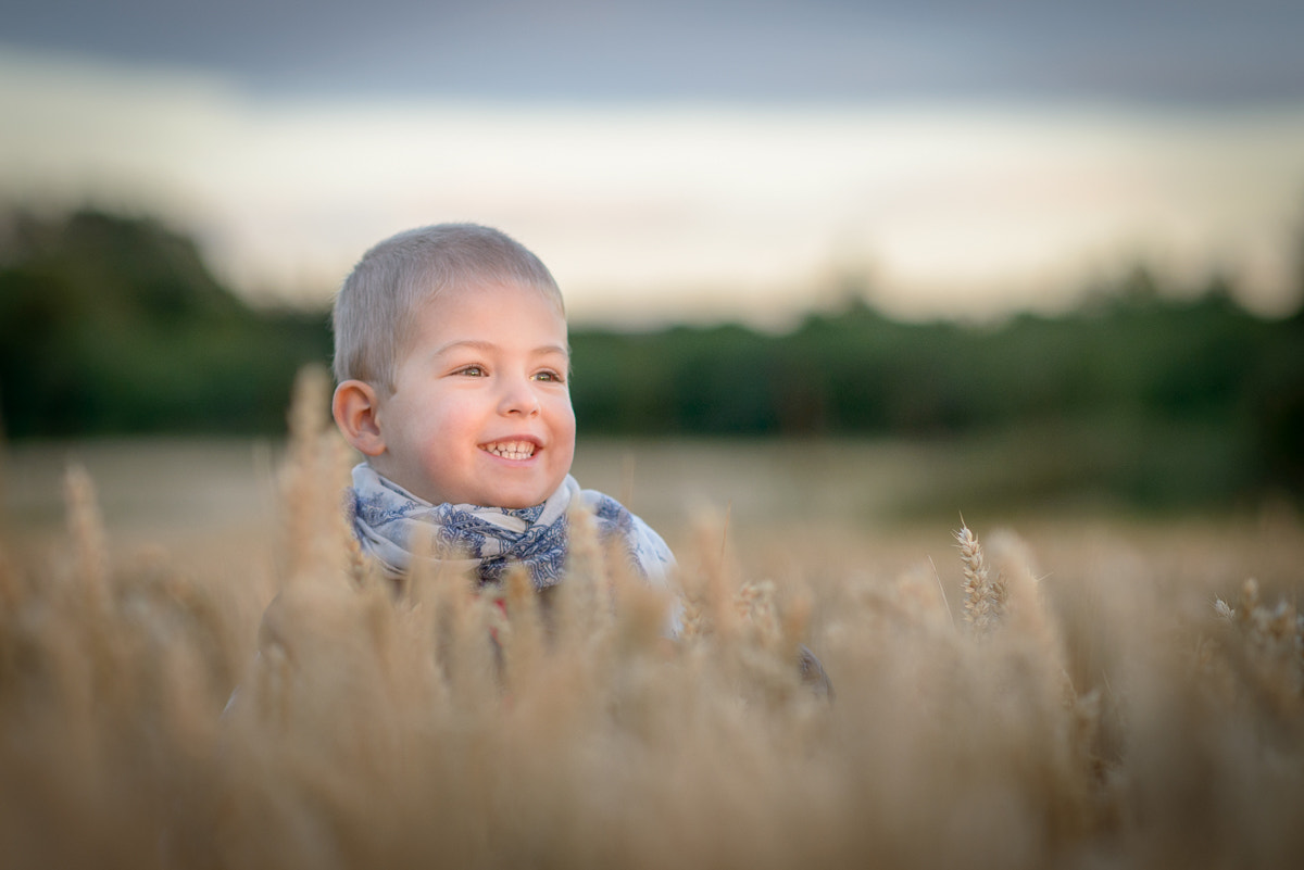 Nikon D800 sample photo. Sunset on the field... photography