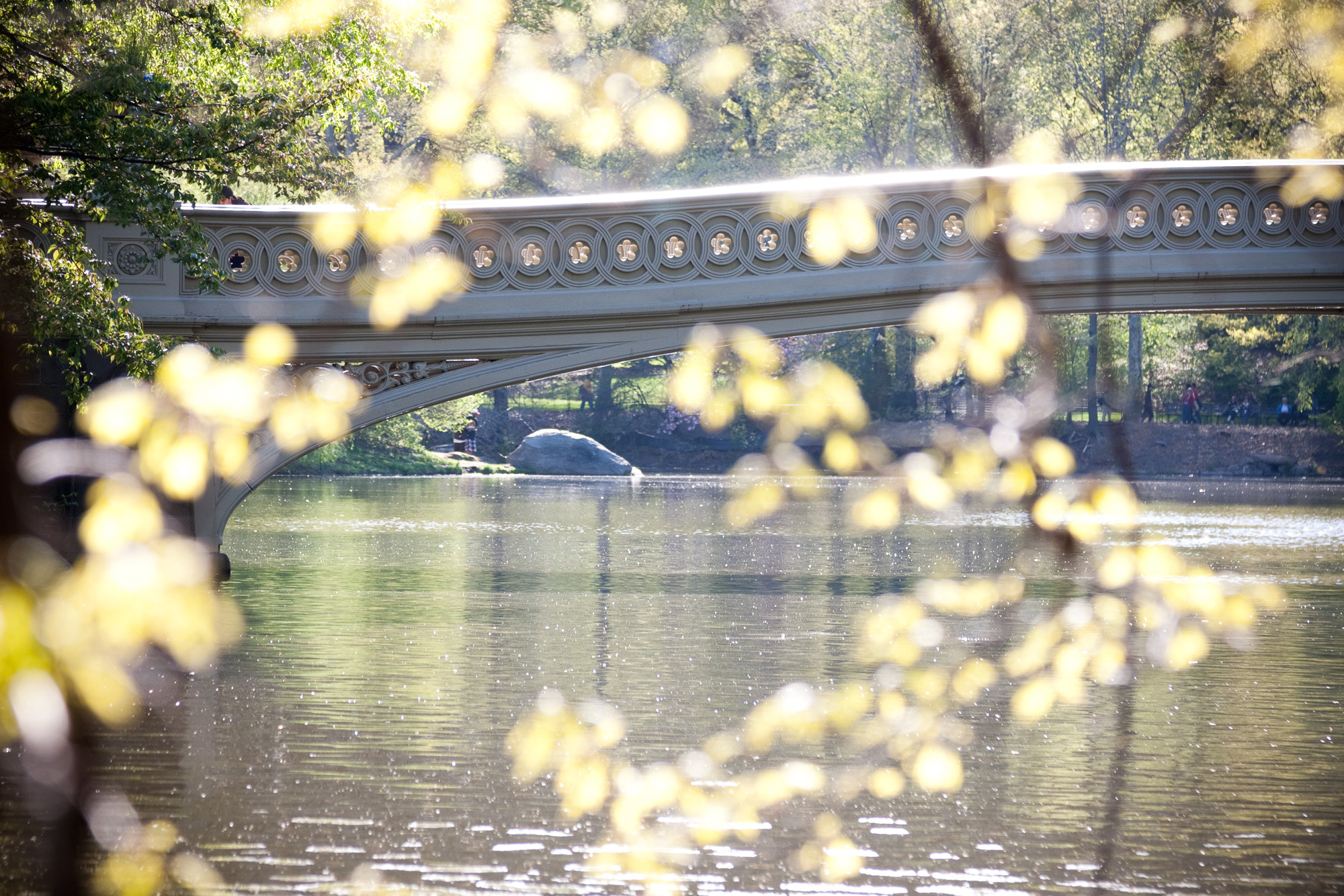 Canon EOS 40D sample photo. Bow bridge, new york photography