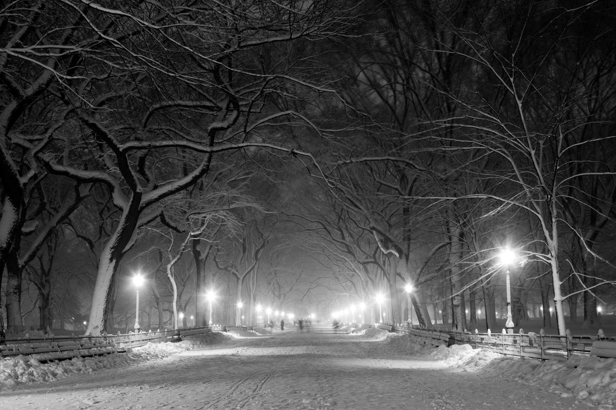 Canon EOS 40D + Canon EF 24-105mm F4L IS USM sample photo. The mall, central park, new york photography