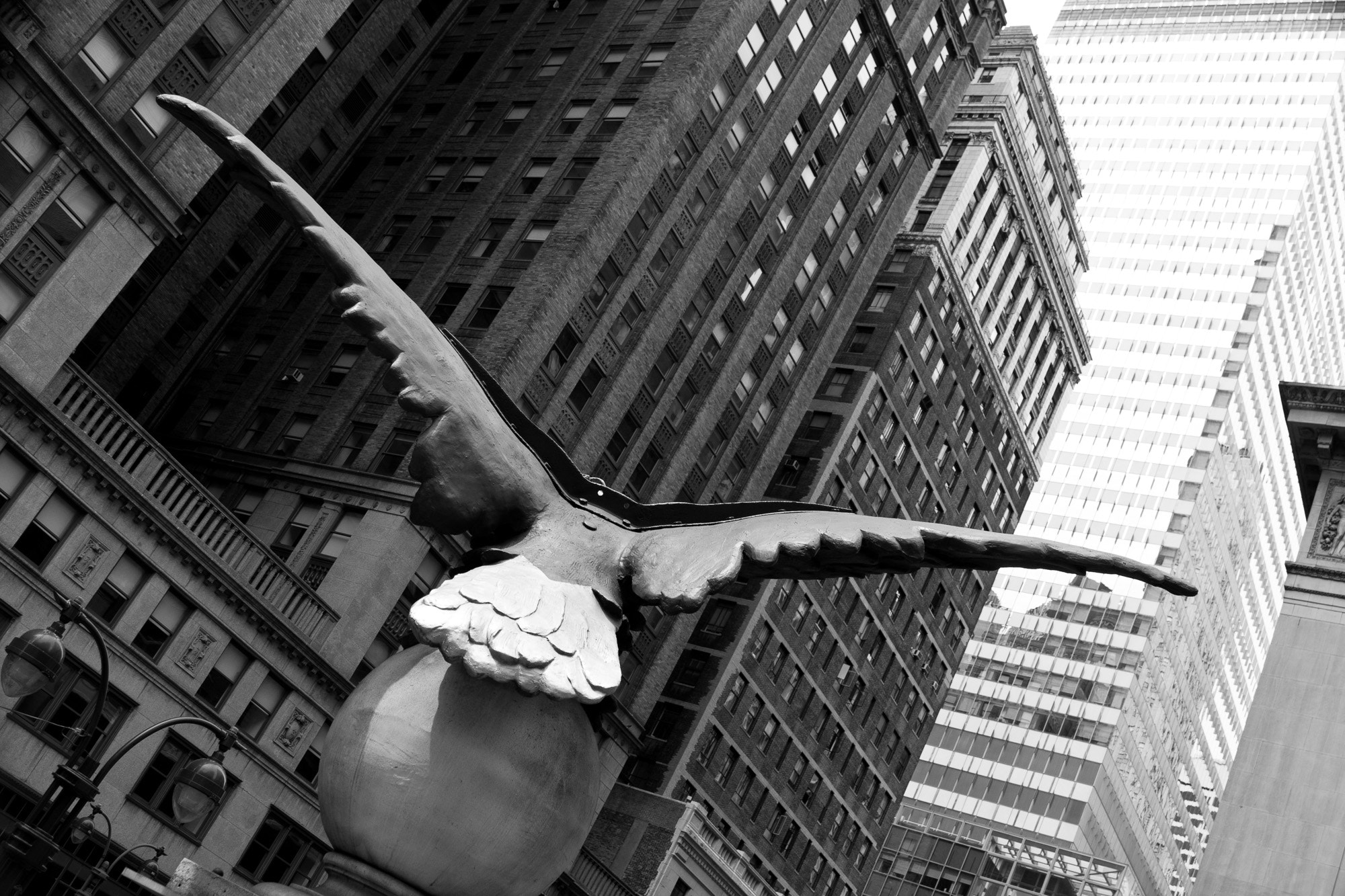 Canon EOS 40D + Canon EF 24-105mm F4L IS USM sample photo. Grand central eagle, new york photography