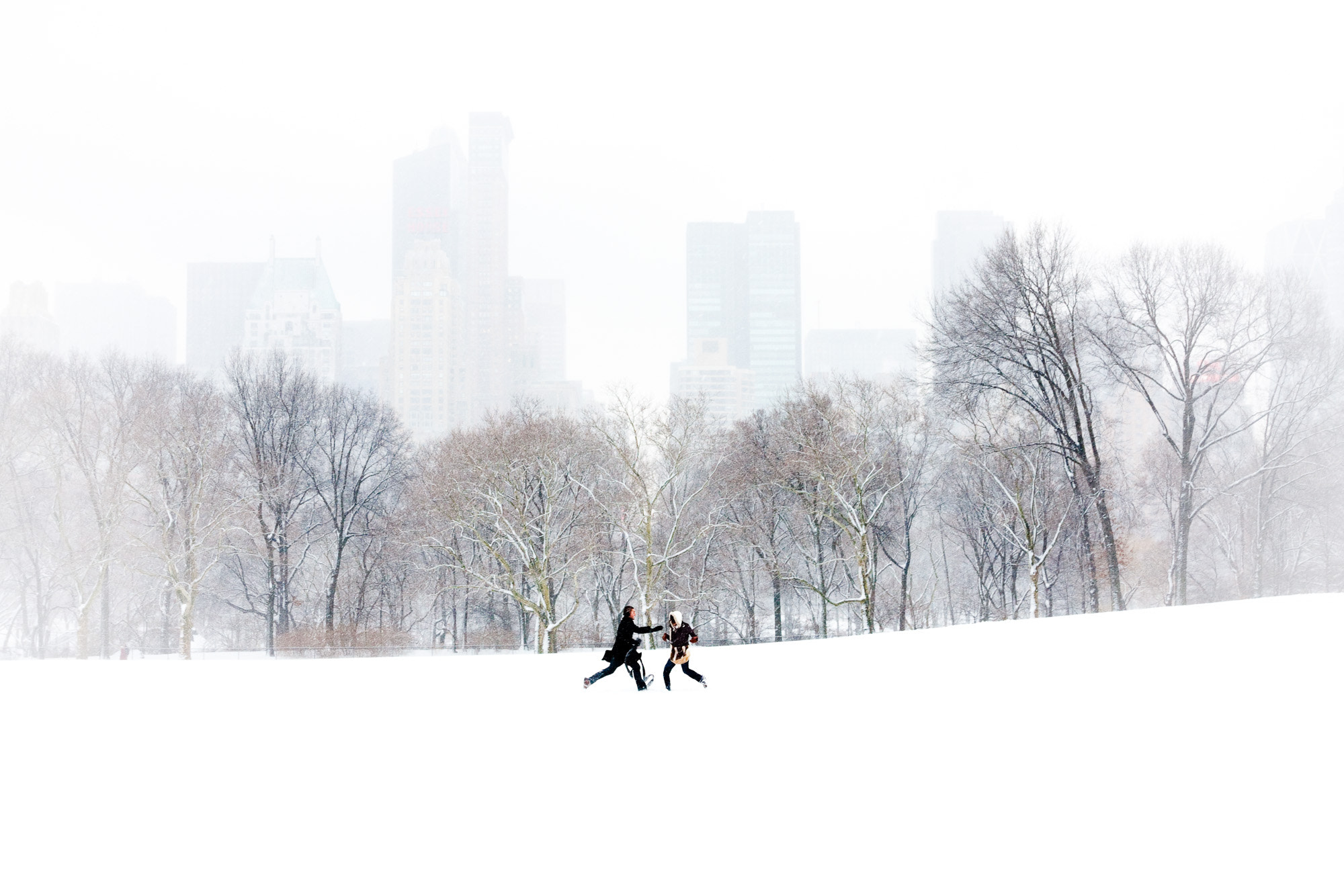 Canon EOS 40D + Canon EF 24-105mm F4L IS USM sample photo. The chase in sheep meadow, central park, new york photography