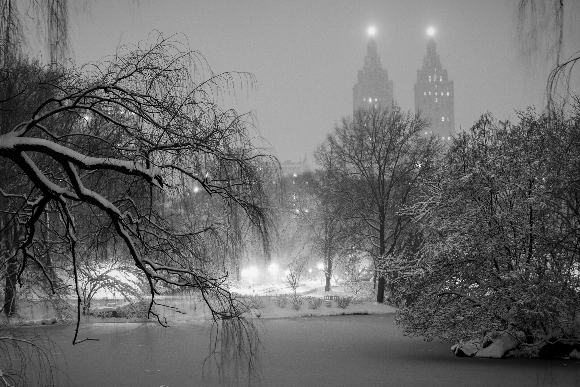 Canon EOS 40D sample photo. The lake, central park, new york photography