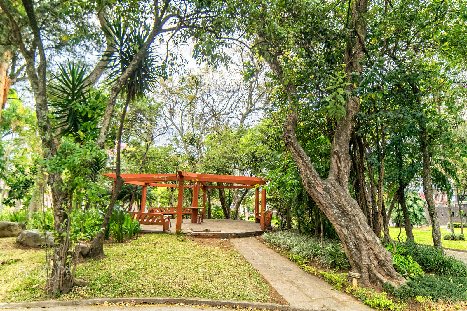 Samyang 14mm F2.8 ED AS IF UMC sample photo. Trees in the city - 4 photography