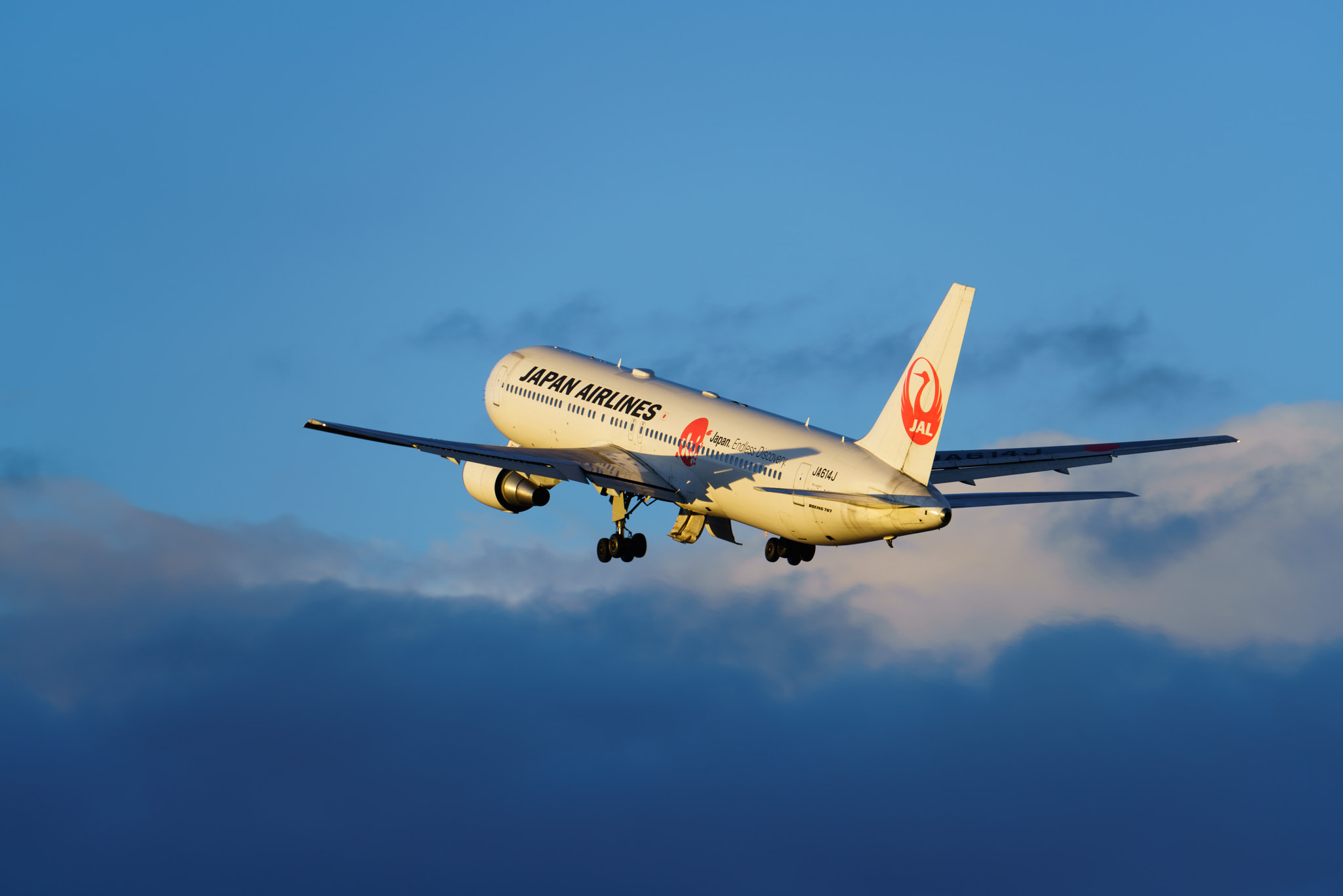 Sony FE 70-300mm F4.5-5.6 G OSS sample photo. Into the sky photography