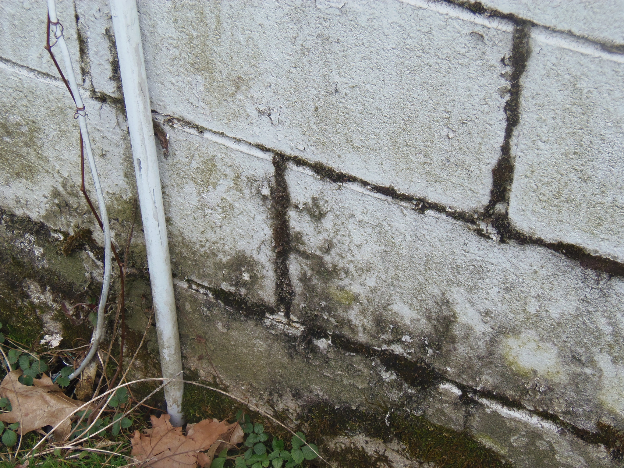 Olympus SP-810UZ sample photo. Olympus digital camera��������� photography
