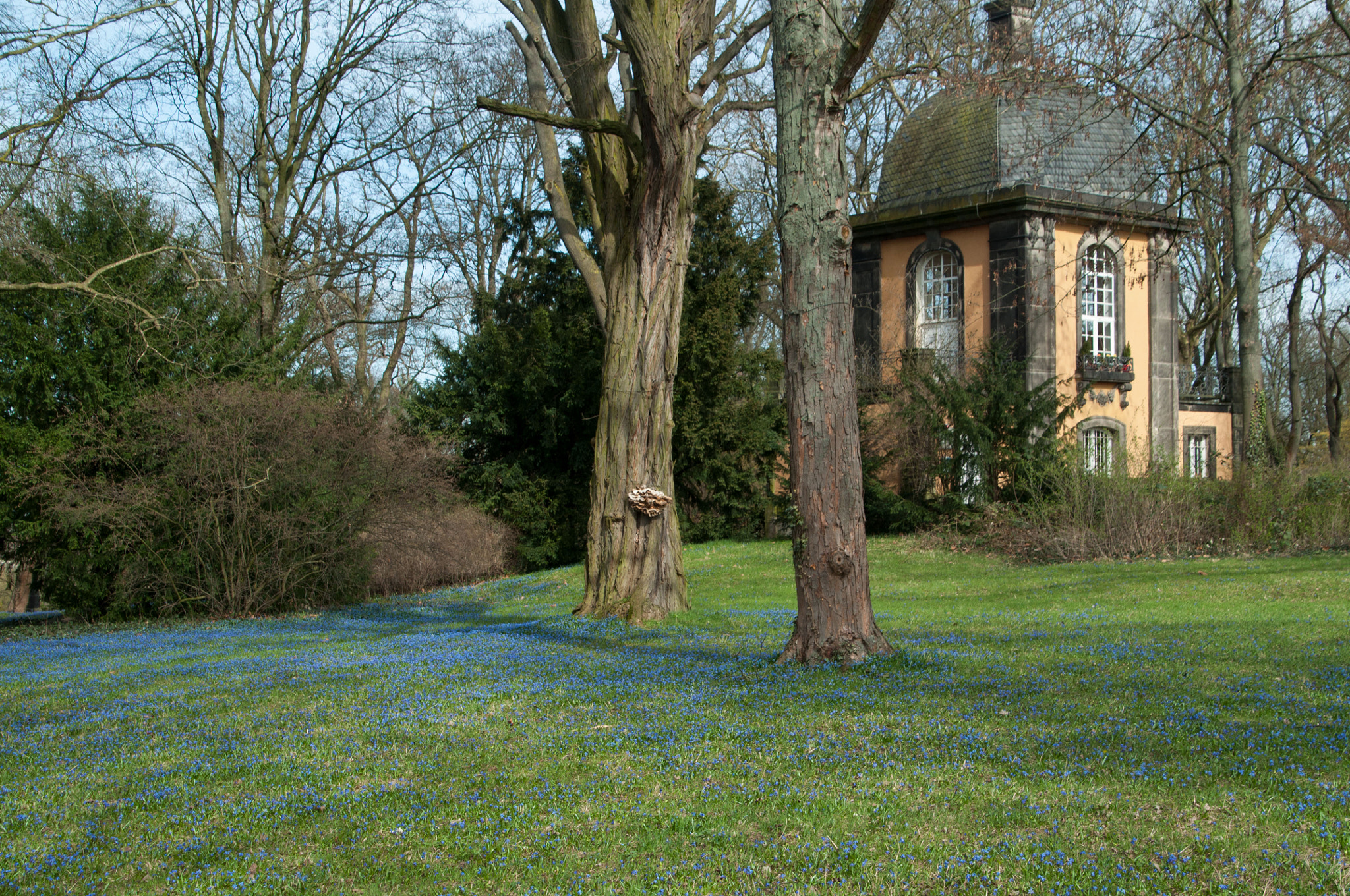 Nikon D5000 sample photo. Spring awakening photography
