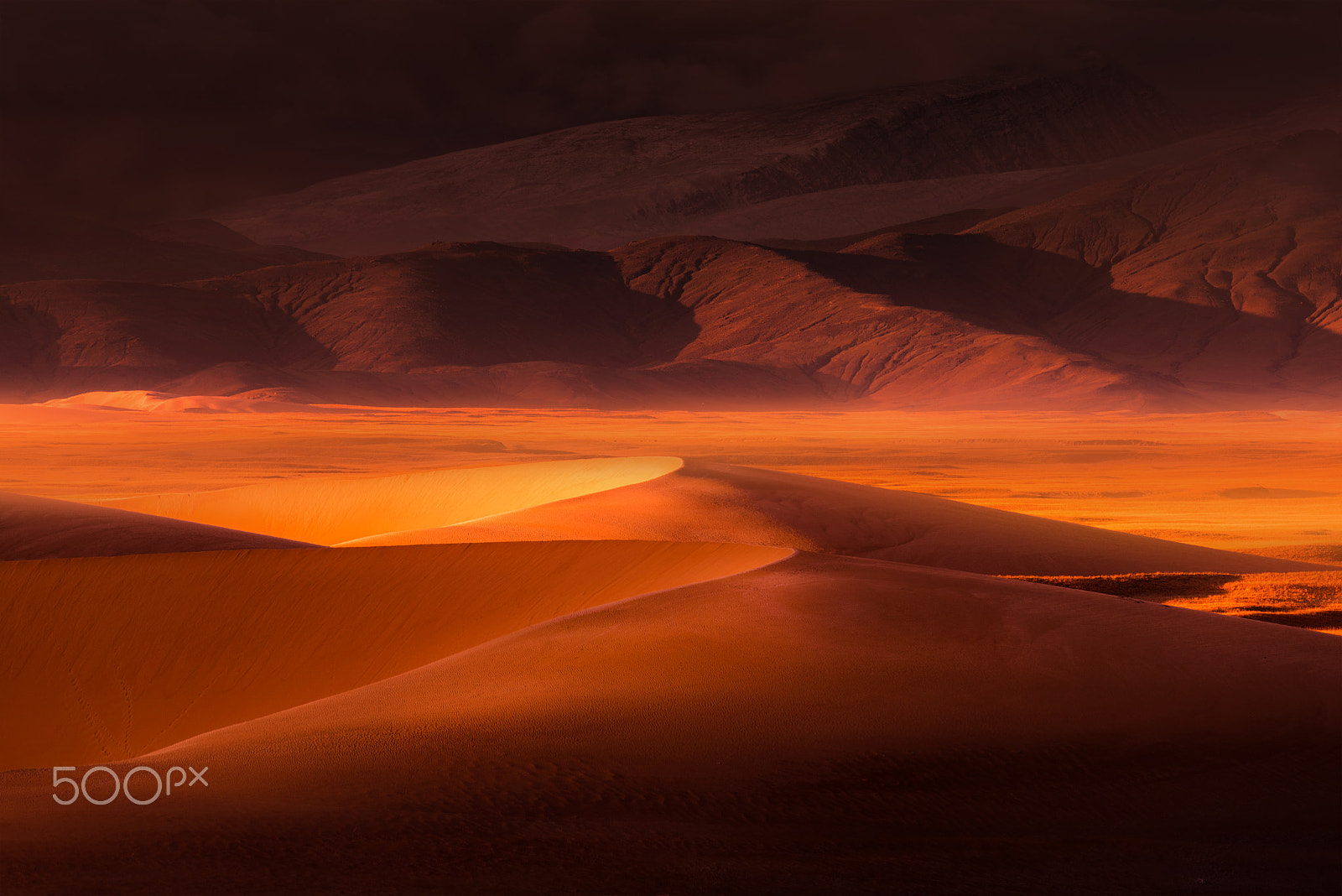 Nikon D810 sample photo. The sand dunes photography