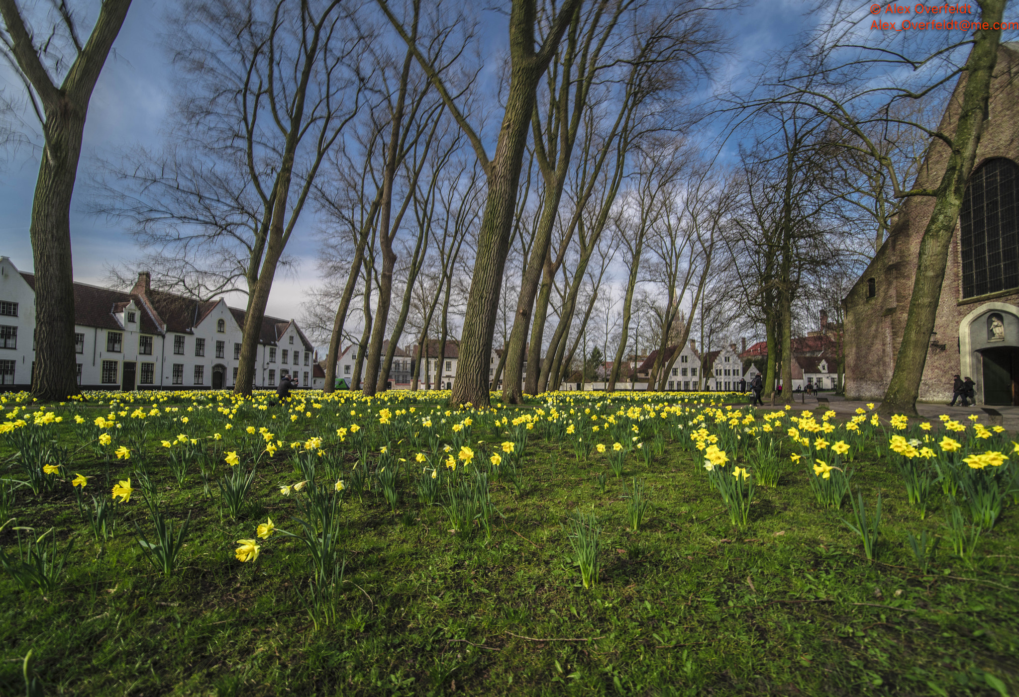 Pentax K-1 + A Series Lens sample photo. Spring in the bruges begijnhof photography