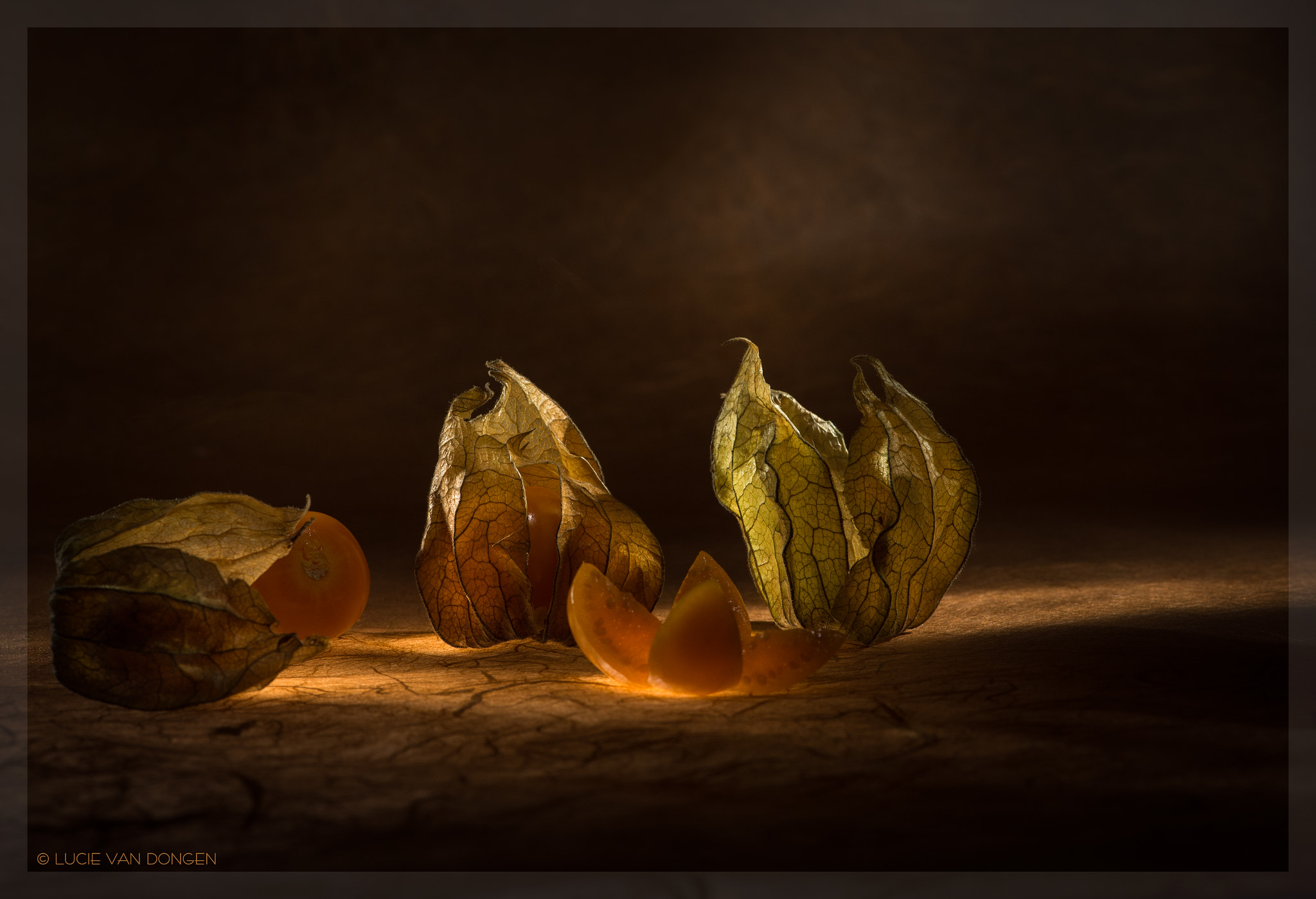Nikon AF-S Micro-Nikkor 105mm F2.8G IF-ED VR sample photo. Physalis photography