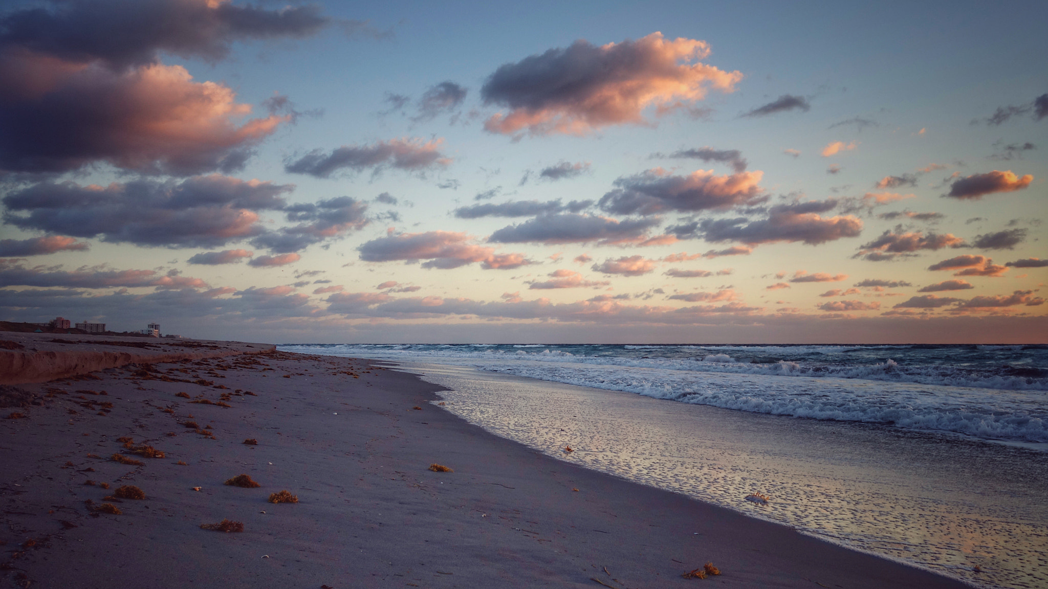 Sony 28-100mm F1.8-4.9 sample photo. Florida shoreline photography