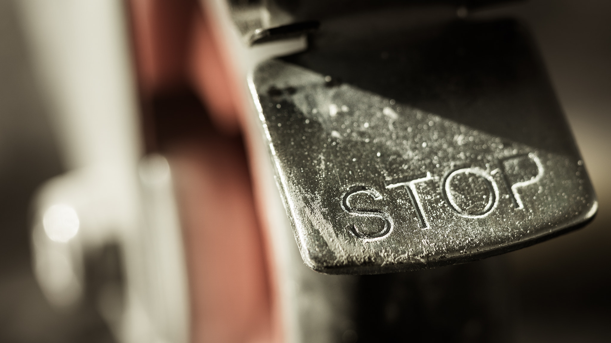 Sony a6000 + Sony FE 90mm F2.8 Macro G OSS sample photo. Safety first! photography