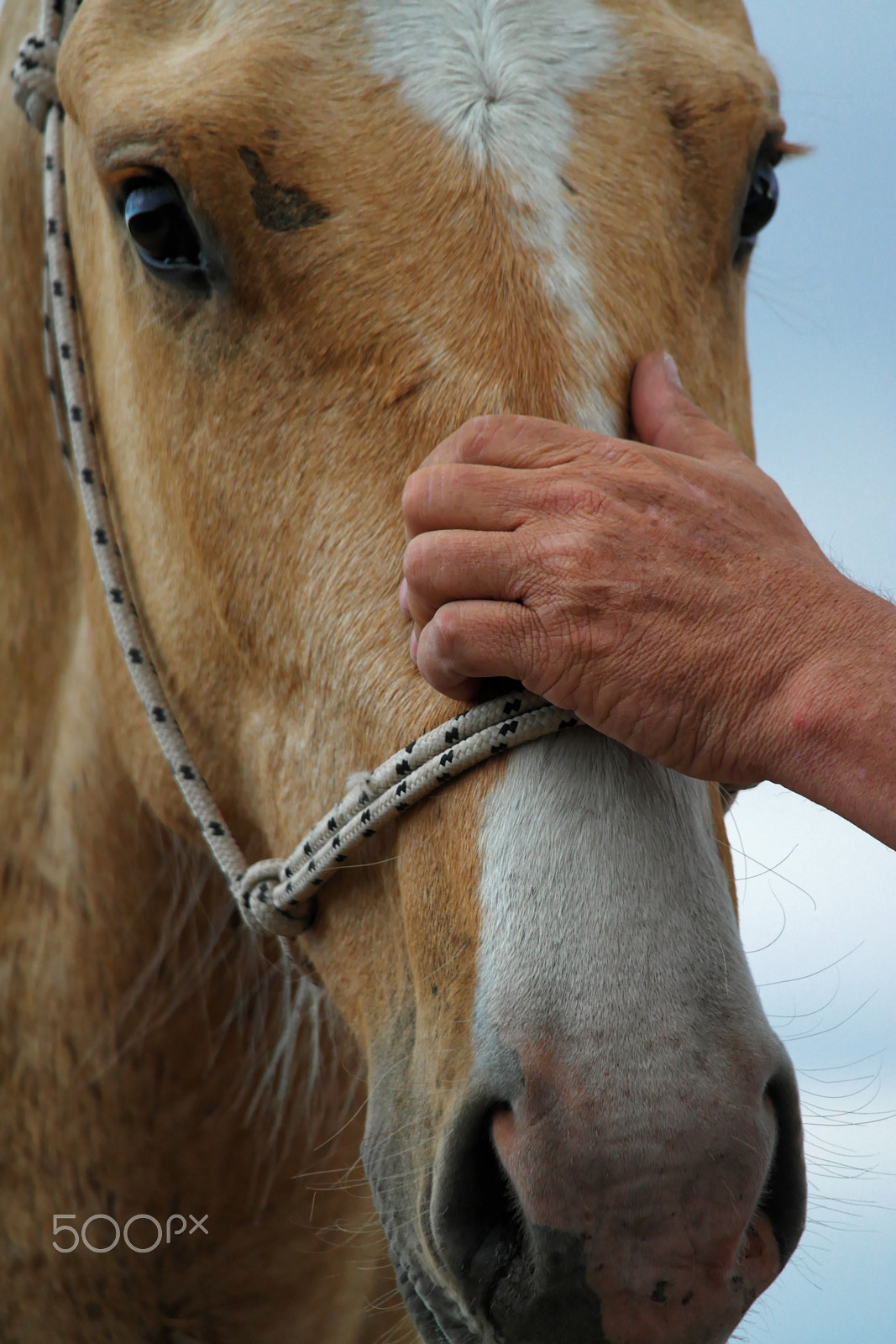 Samsung NX20 sample photo. The touch photography