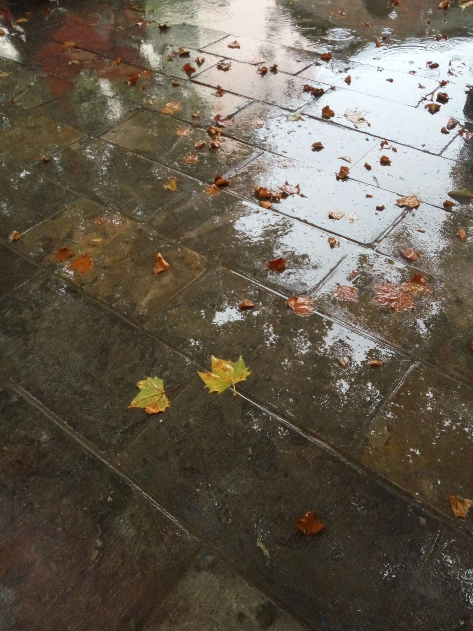 Xiaomi HM Note 2 sample photo