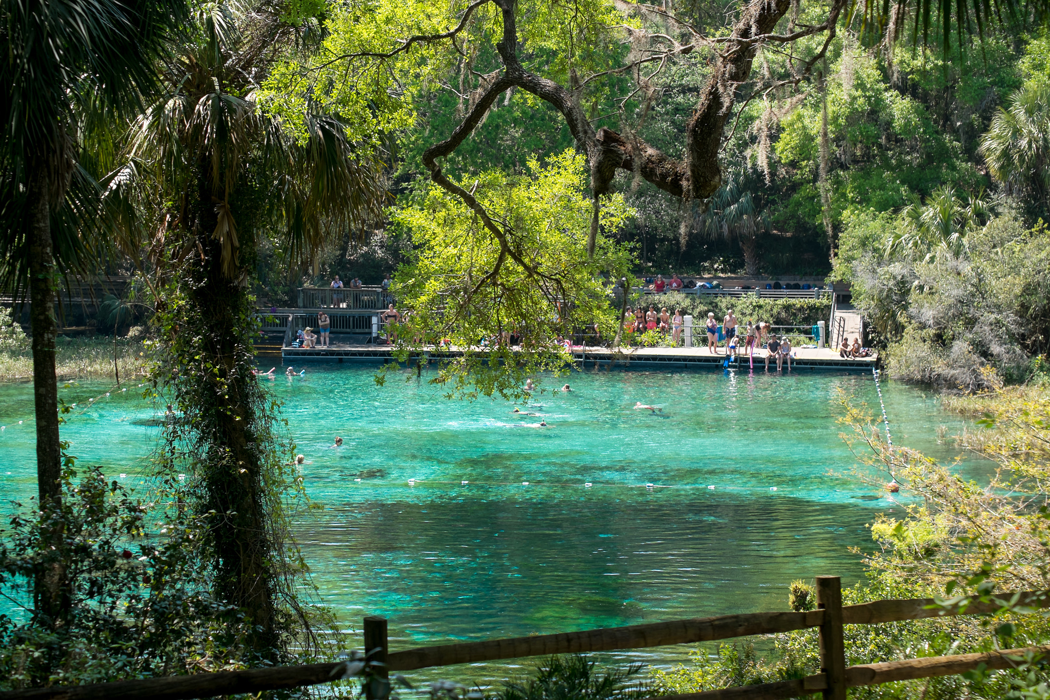 Fujifilm X-E1 + Fujifilm XF 55-200mm F3.5-4.8 R LM OIS sample photo. Rainbow springs photography