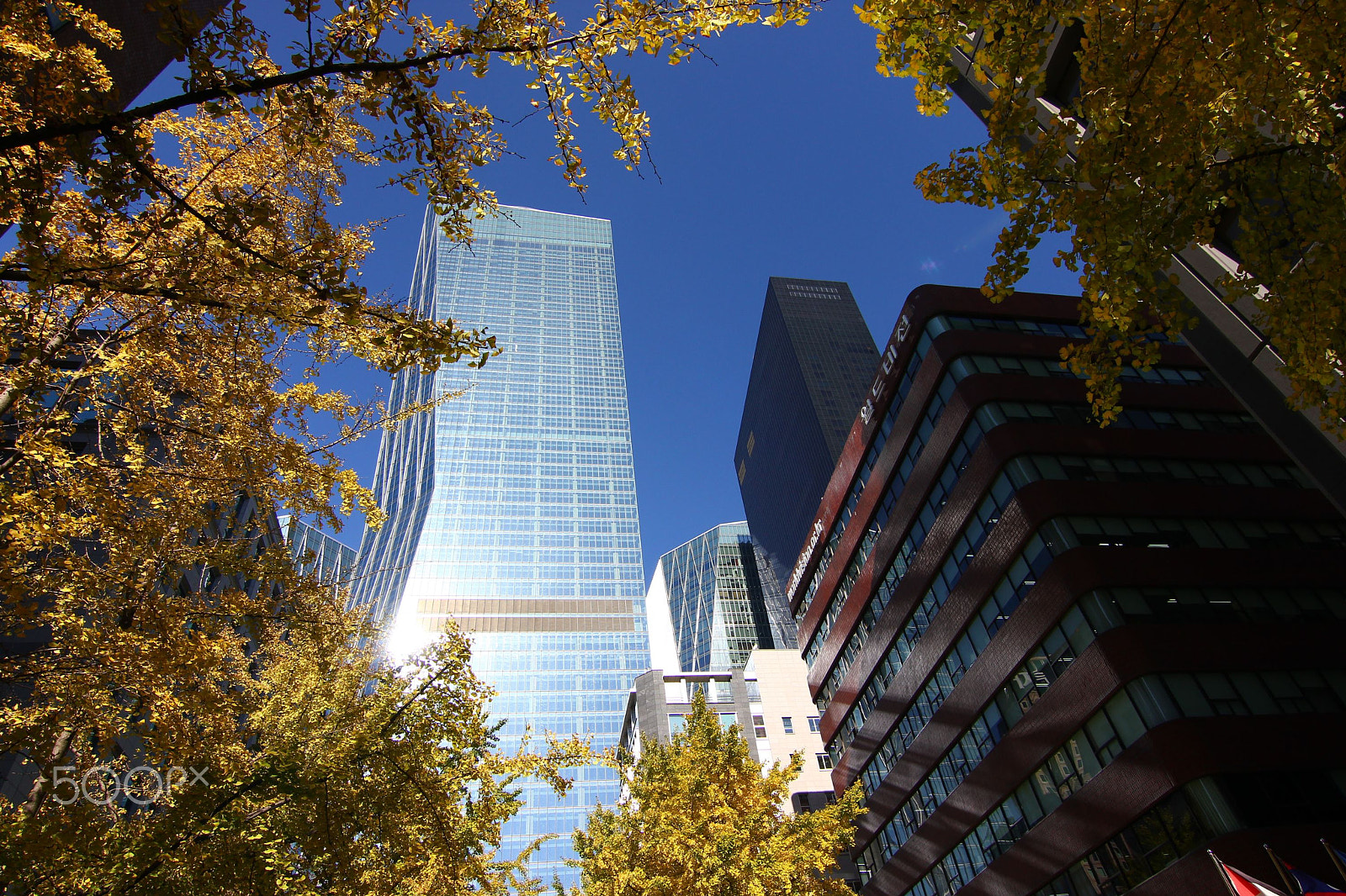 Canon EOS 550D (EOS Rebel T2i / EOS Kiss X4) sample photo. Autumn in seoul photography