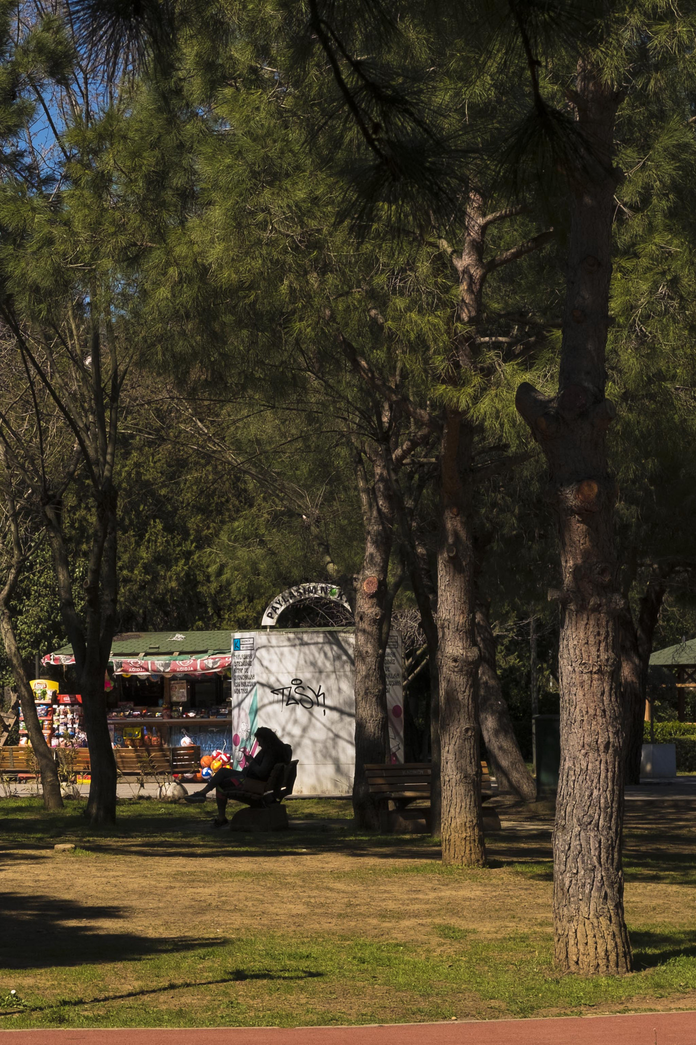 Fujifilm X-Pro2 sample photo. Single person relaxing in the distance photography