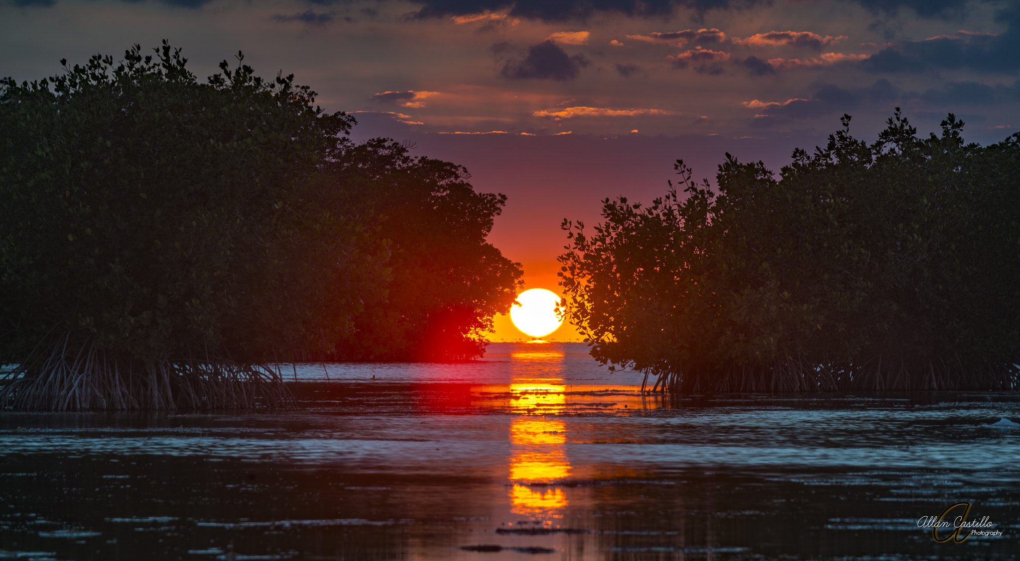 Nikon D800 sample photo. What an adventure to get to this spot had to put m ... photography