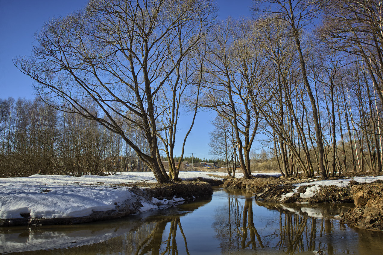 17.0 - 40.0 mm sample photo. Spring photography