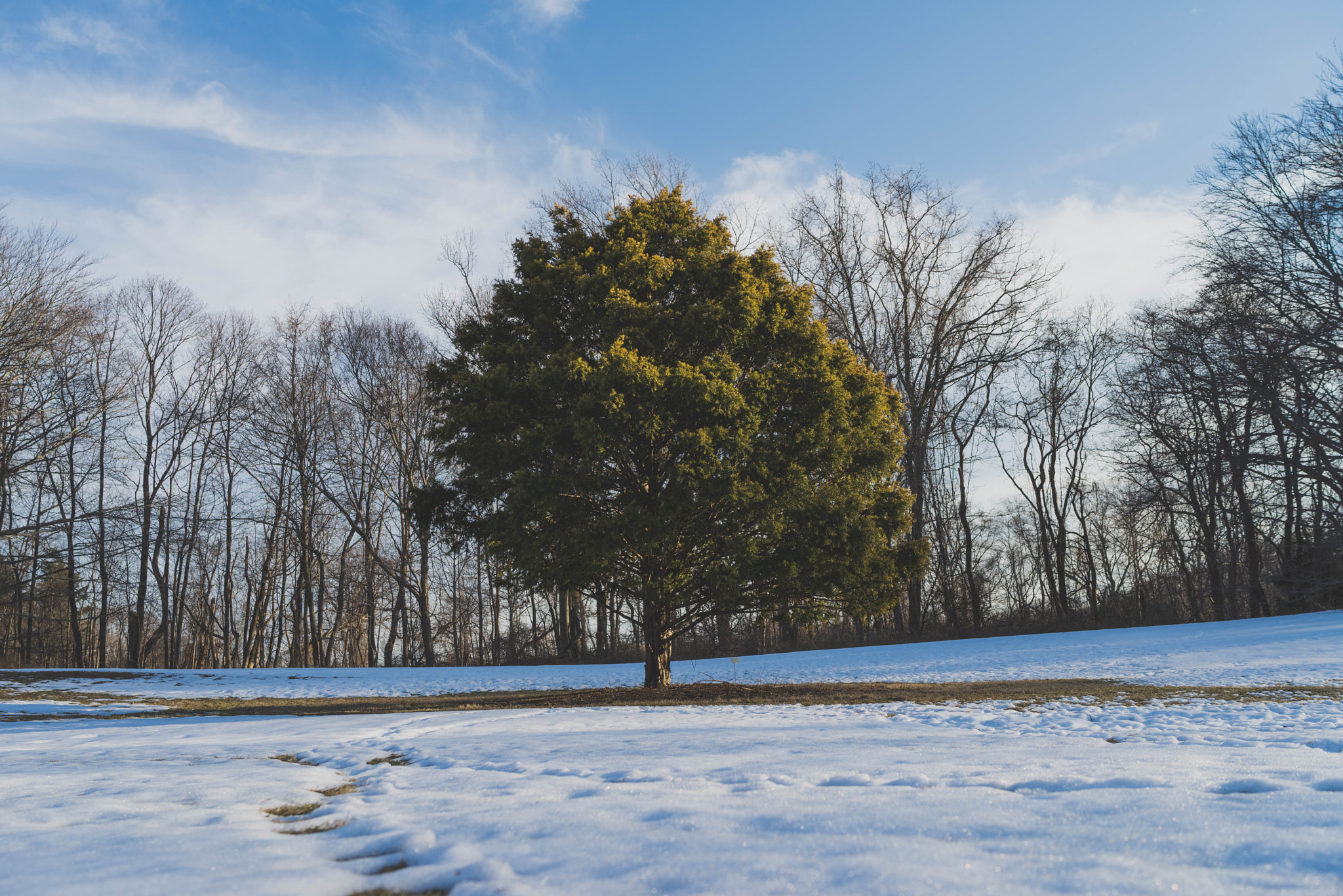 Sony a7R + Sony Distagon T* FE 35mm F1.4 ZA sample photo