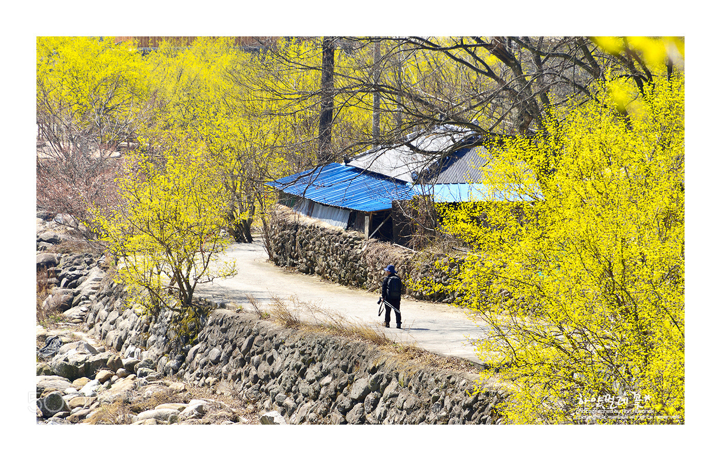 Nikon D800 sample photo. Spring photography