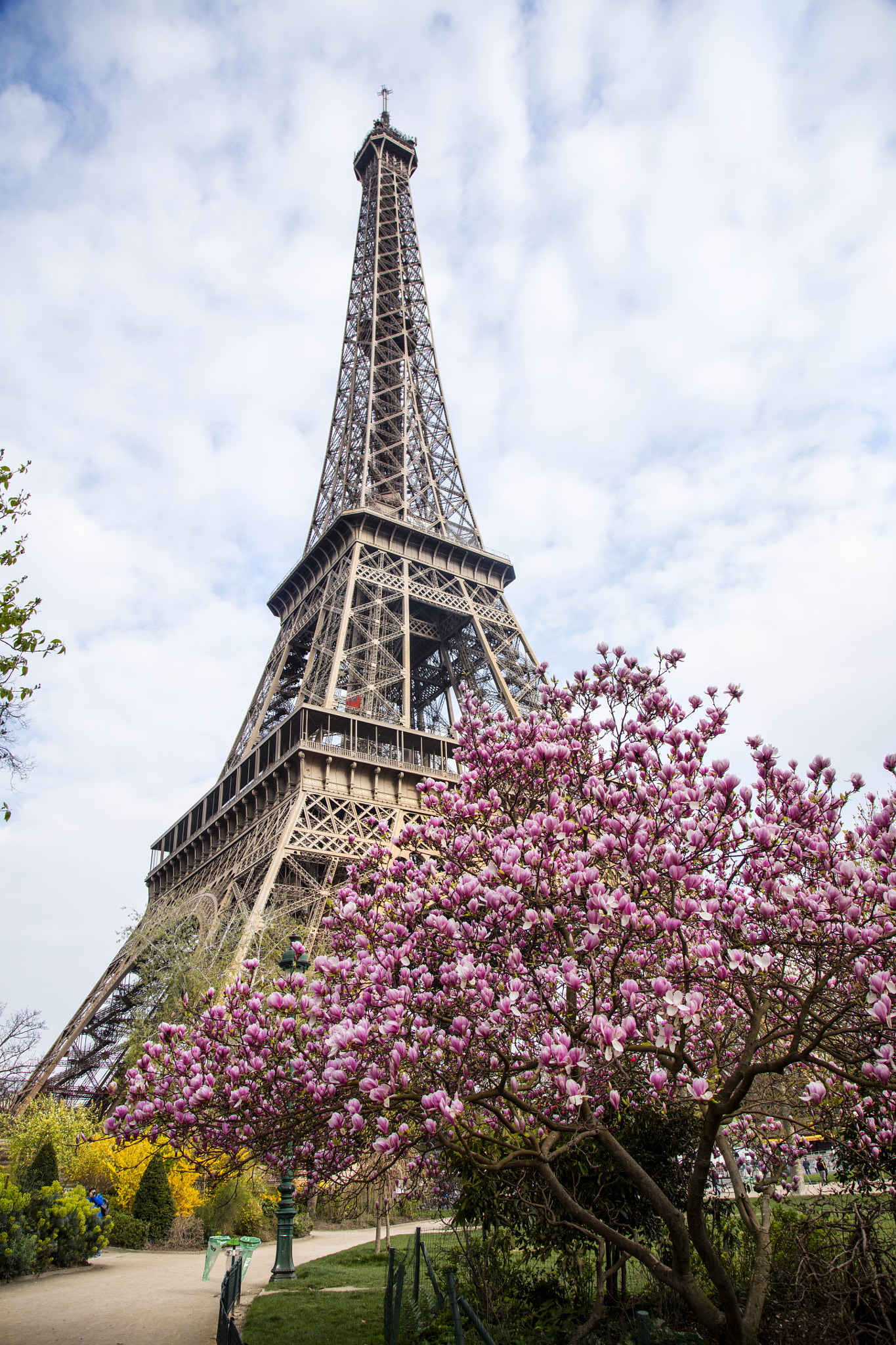 Canon EOS 5DS + Canon EF 24-105mm F4L IS USM sample photo. The pretty eiffel tower photography