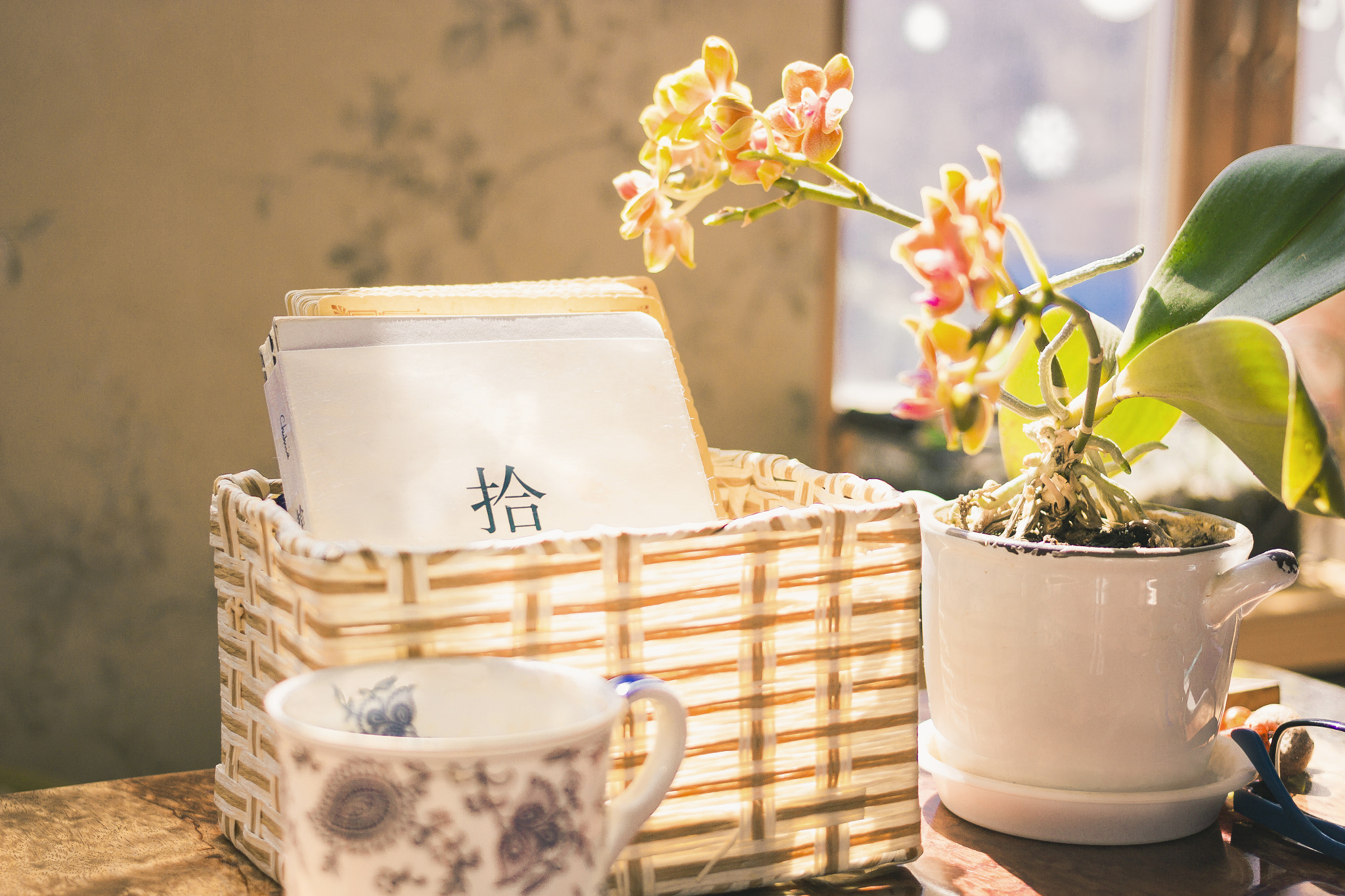 Canon EOS 60D + Canon EF 40mm F2.8 STM sample photo