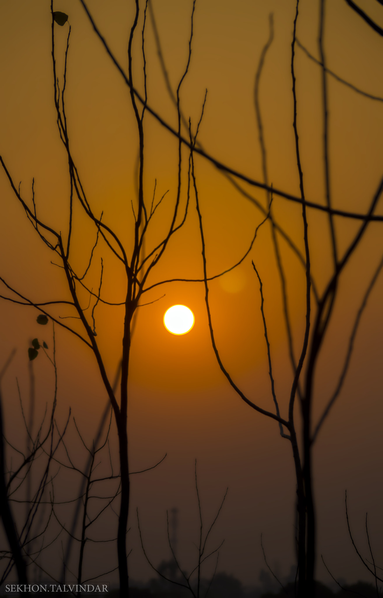 Sony DT 55-300mm F4.5-5.6 SAM sample photo. The sunset photography