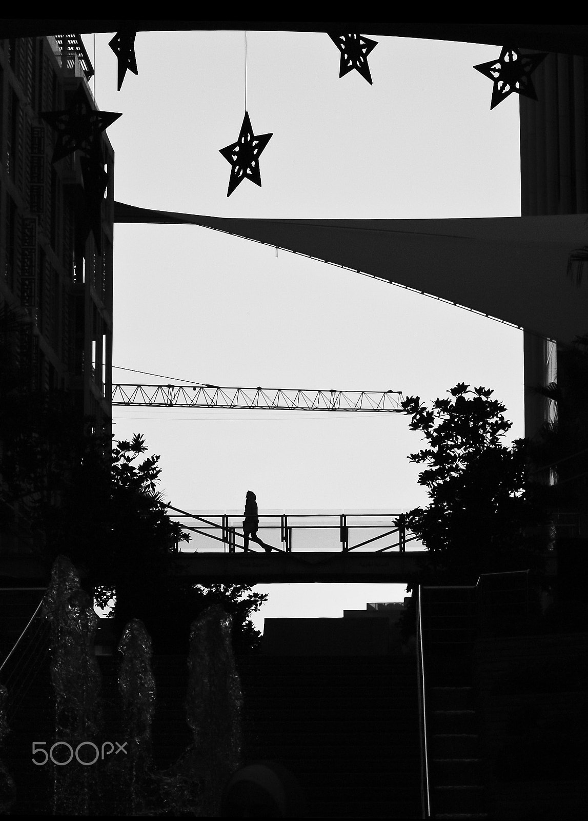 Canon EOS 450D (EOS Rebel XSi / EOS Kiss X2) sample photo. Evening stars photography