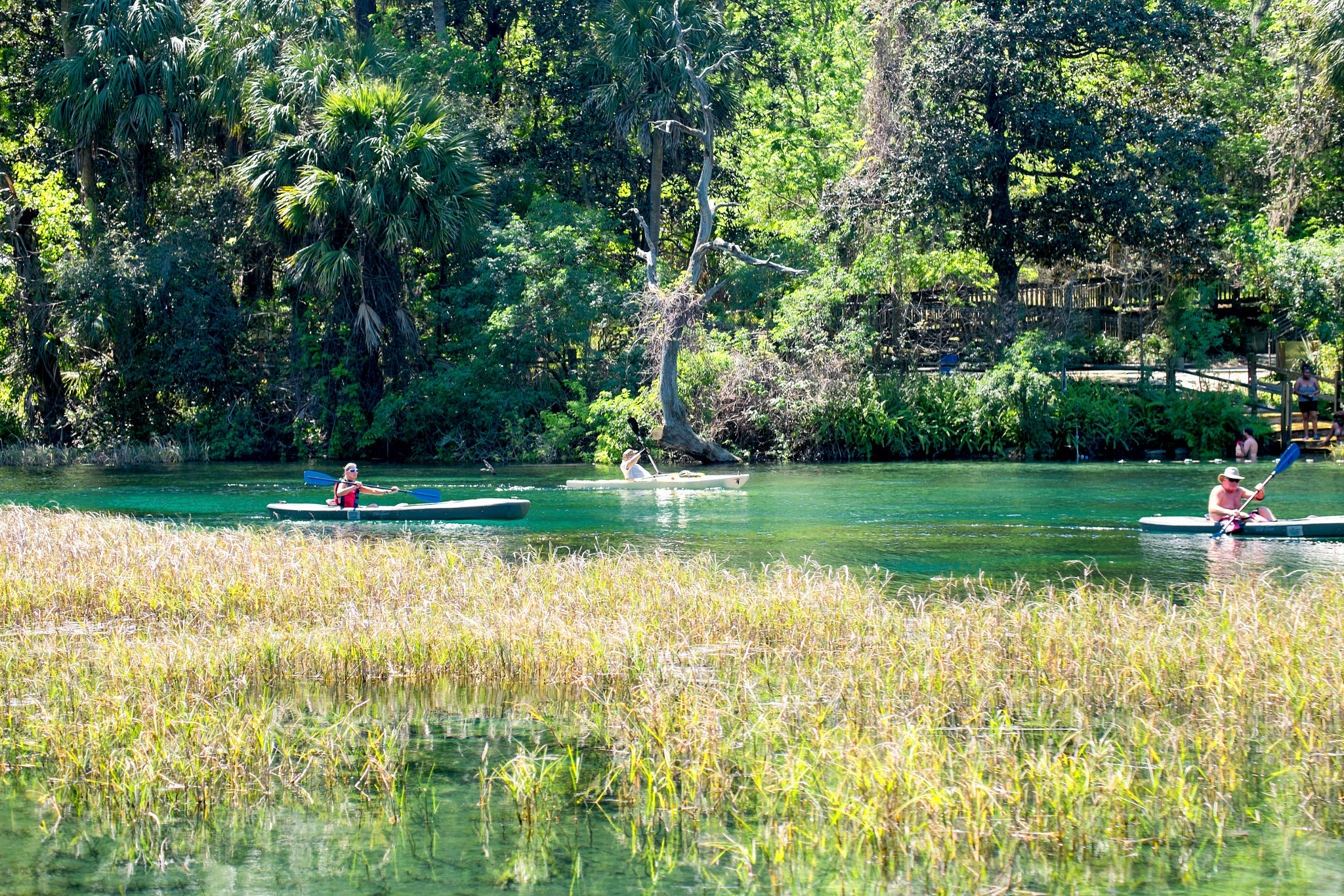 Fujifilm X-E1 + Fujifilm XF 55-200mm F3.5-4.8 R LM OIS sample photo. Rainbow springs kayaking photography