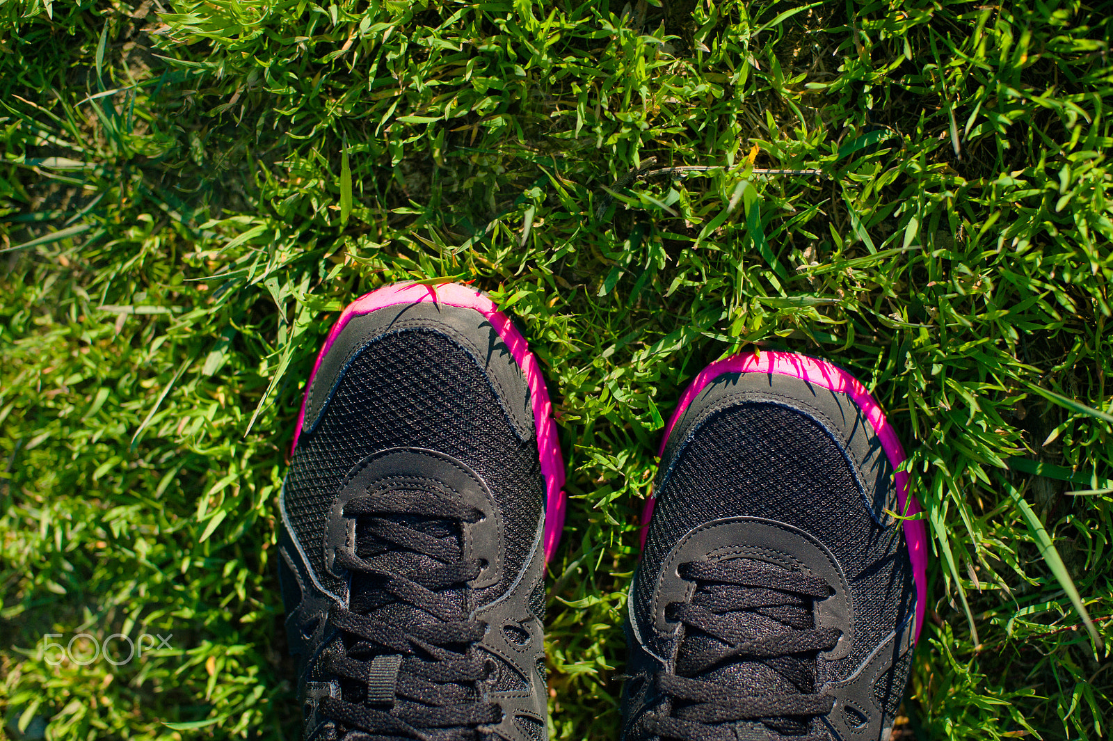 Nikon D700 sample photo. Sport footwear on female feet on green grass. closeup running shoes. photography