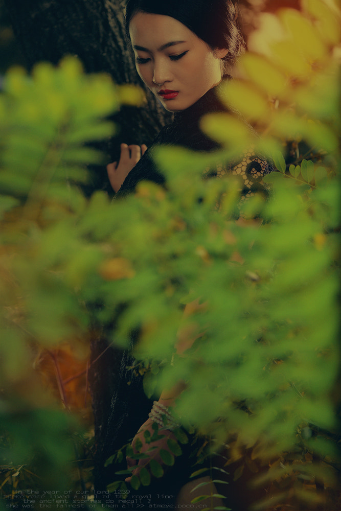 Nikon D800E sample photo