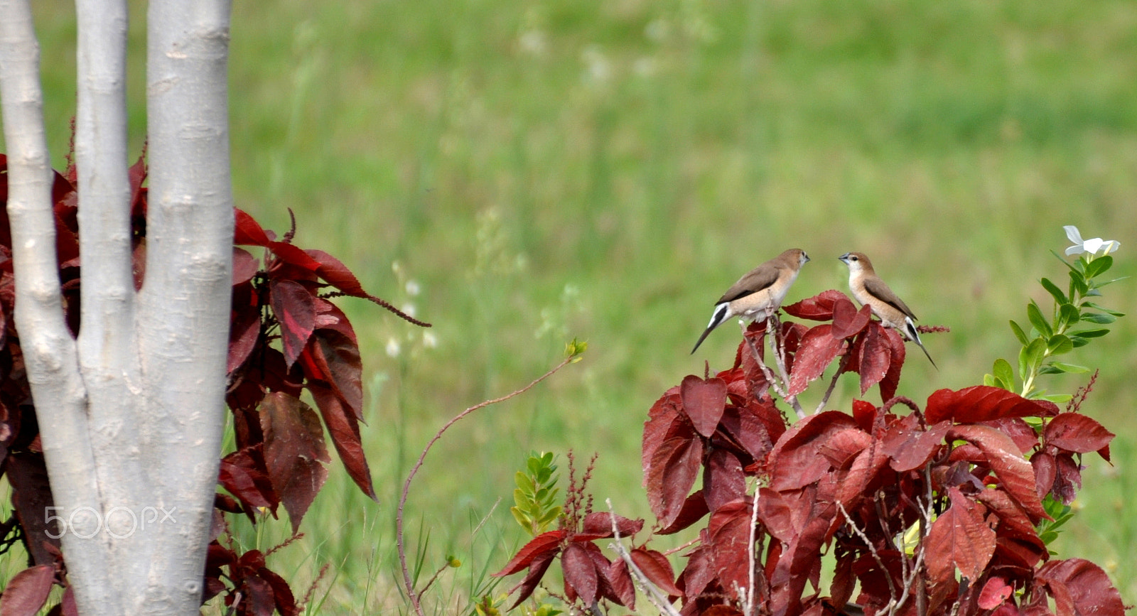 Nikon D90 sample photo. Earth photography